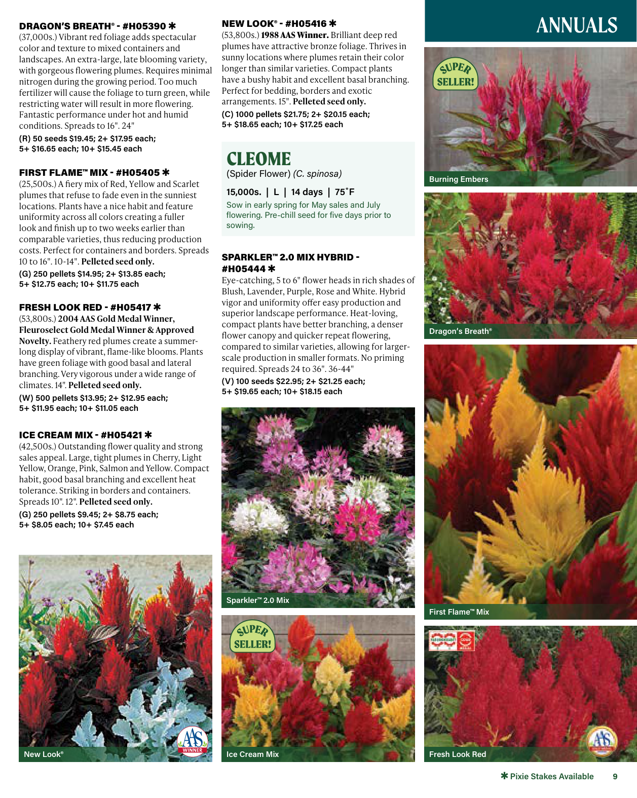 Flyer page 9