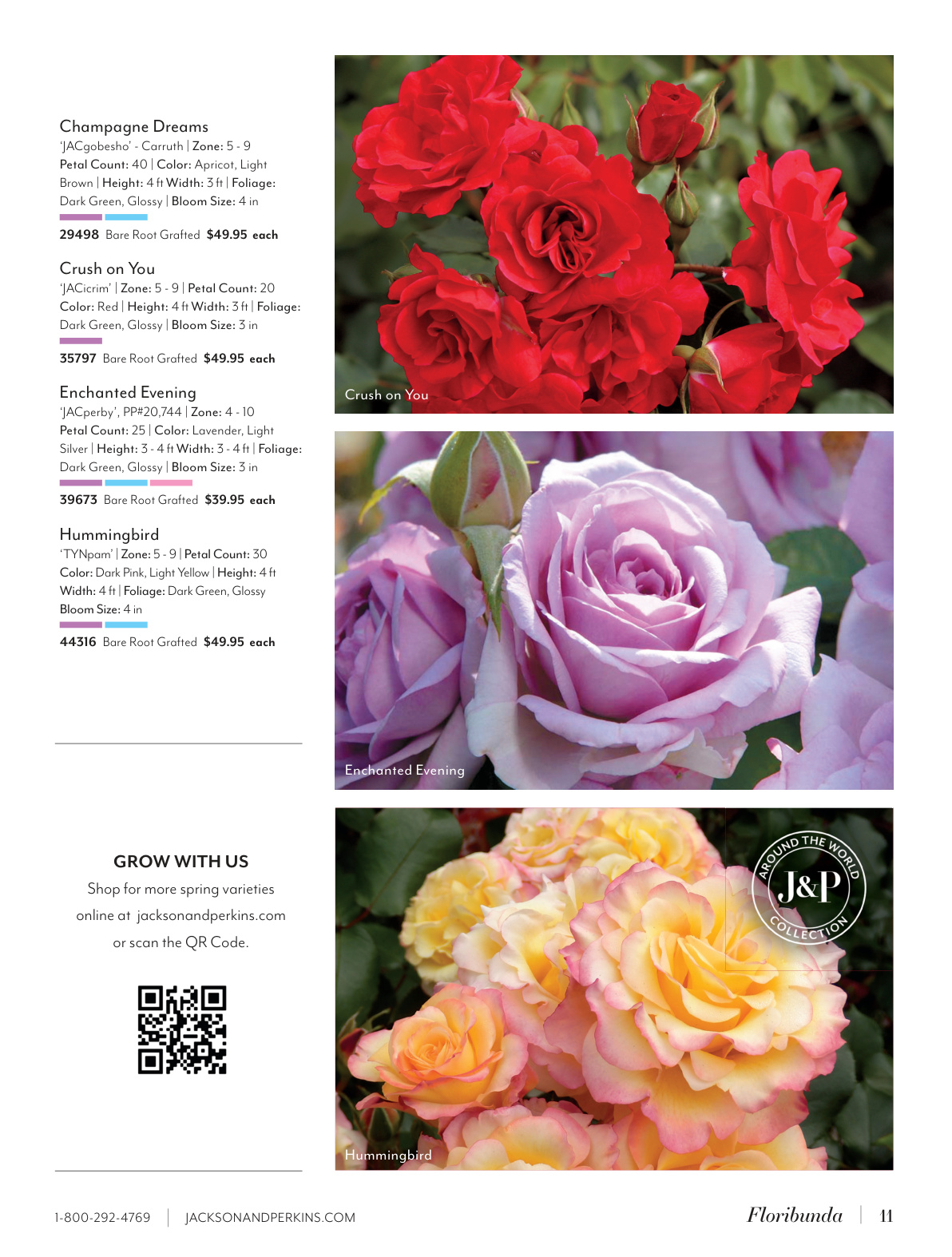 Flyer page 11