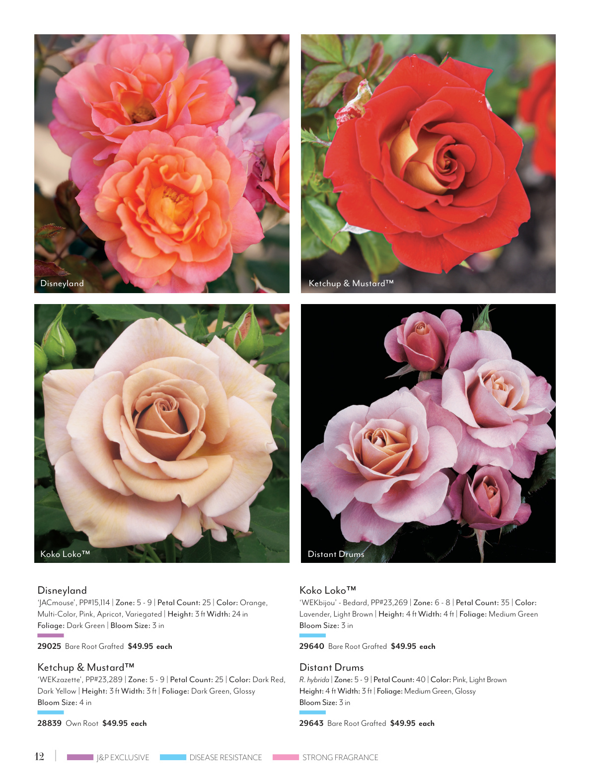 Flyer page 12