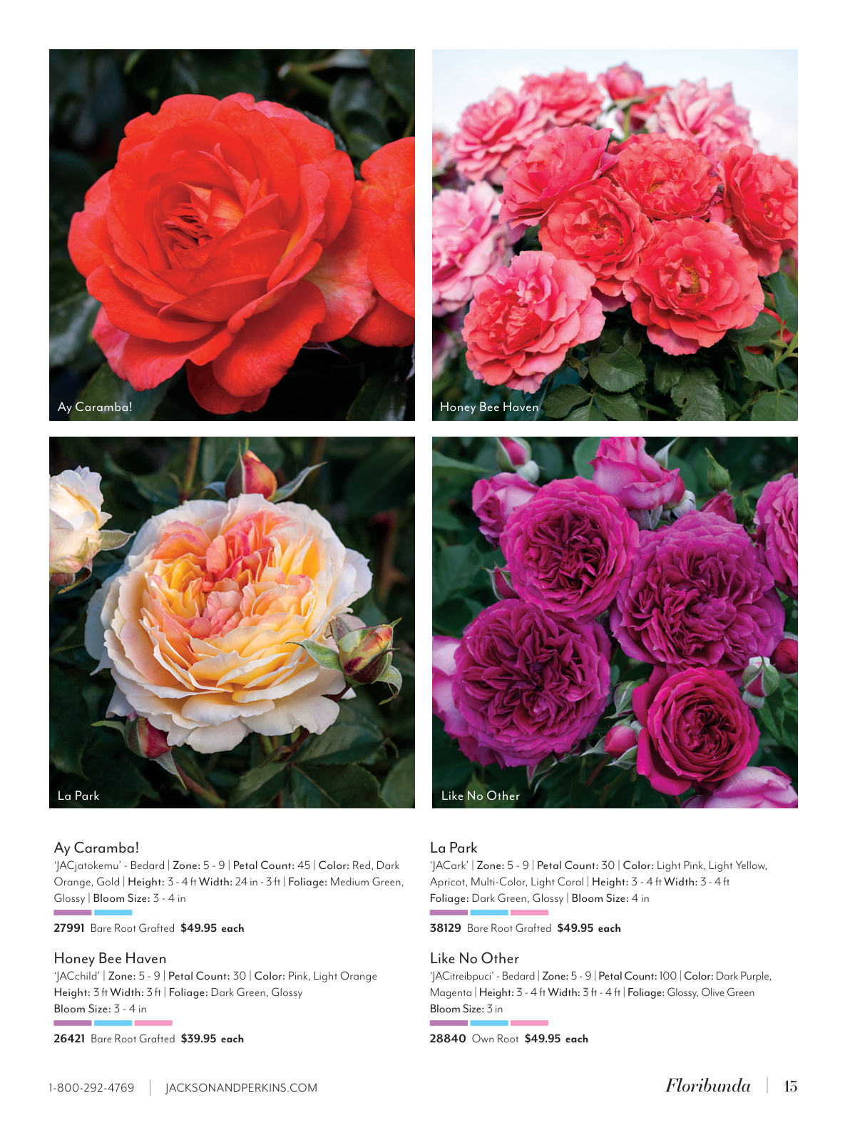 Flyer page 13