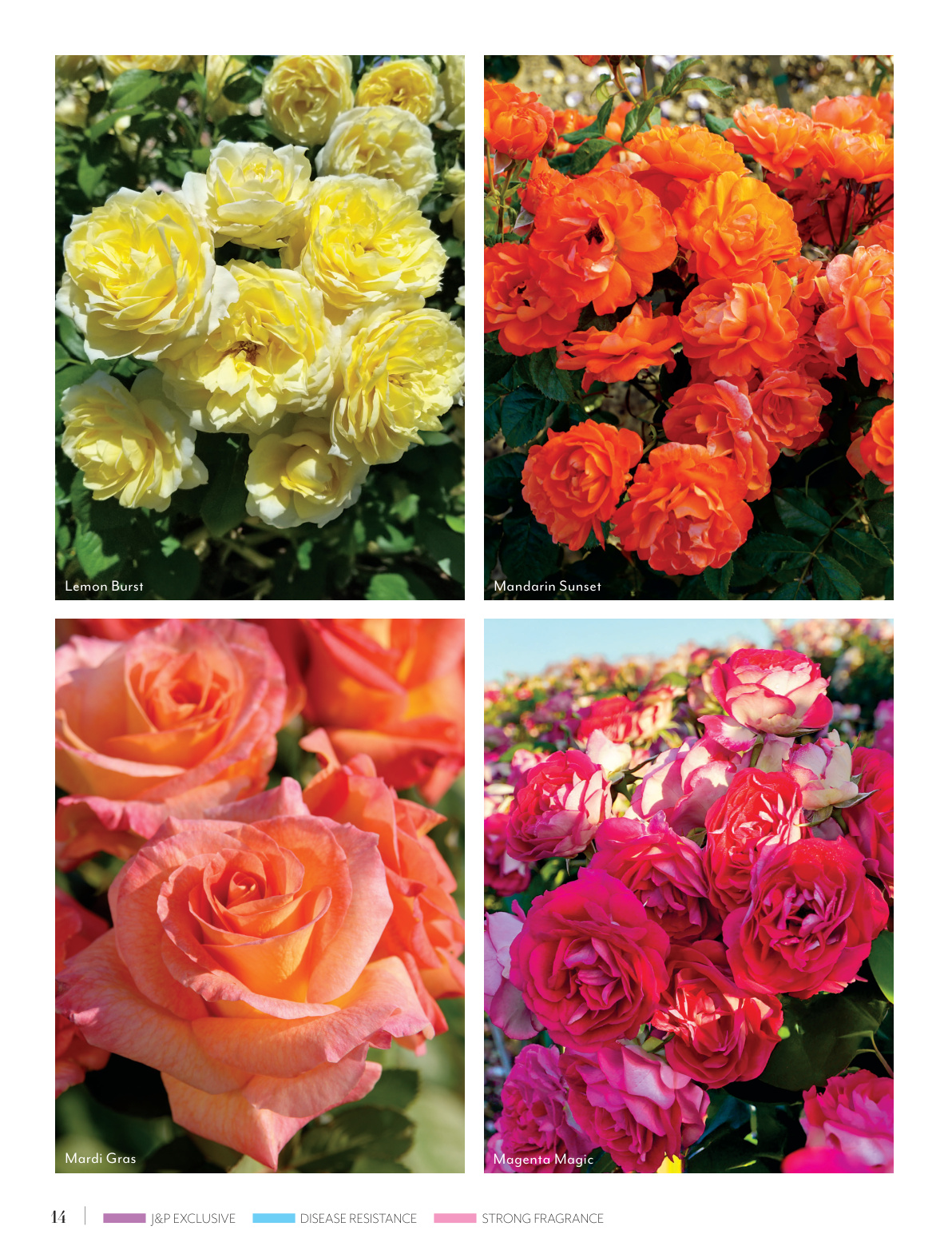 Flyer page 14
