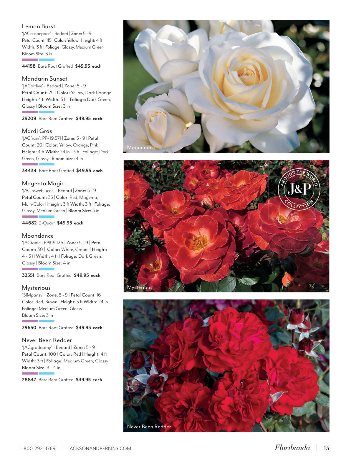 Flyer page 15
