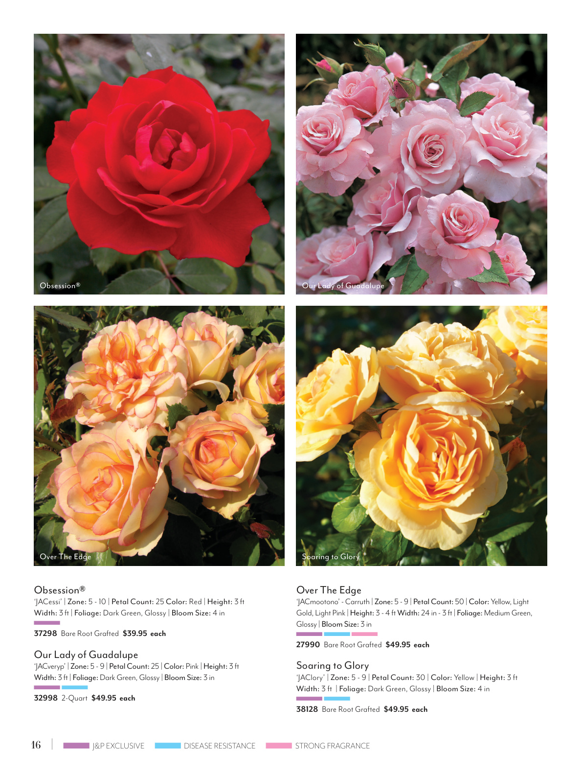 Flyer page 16