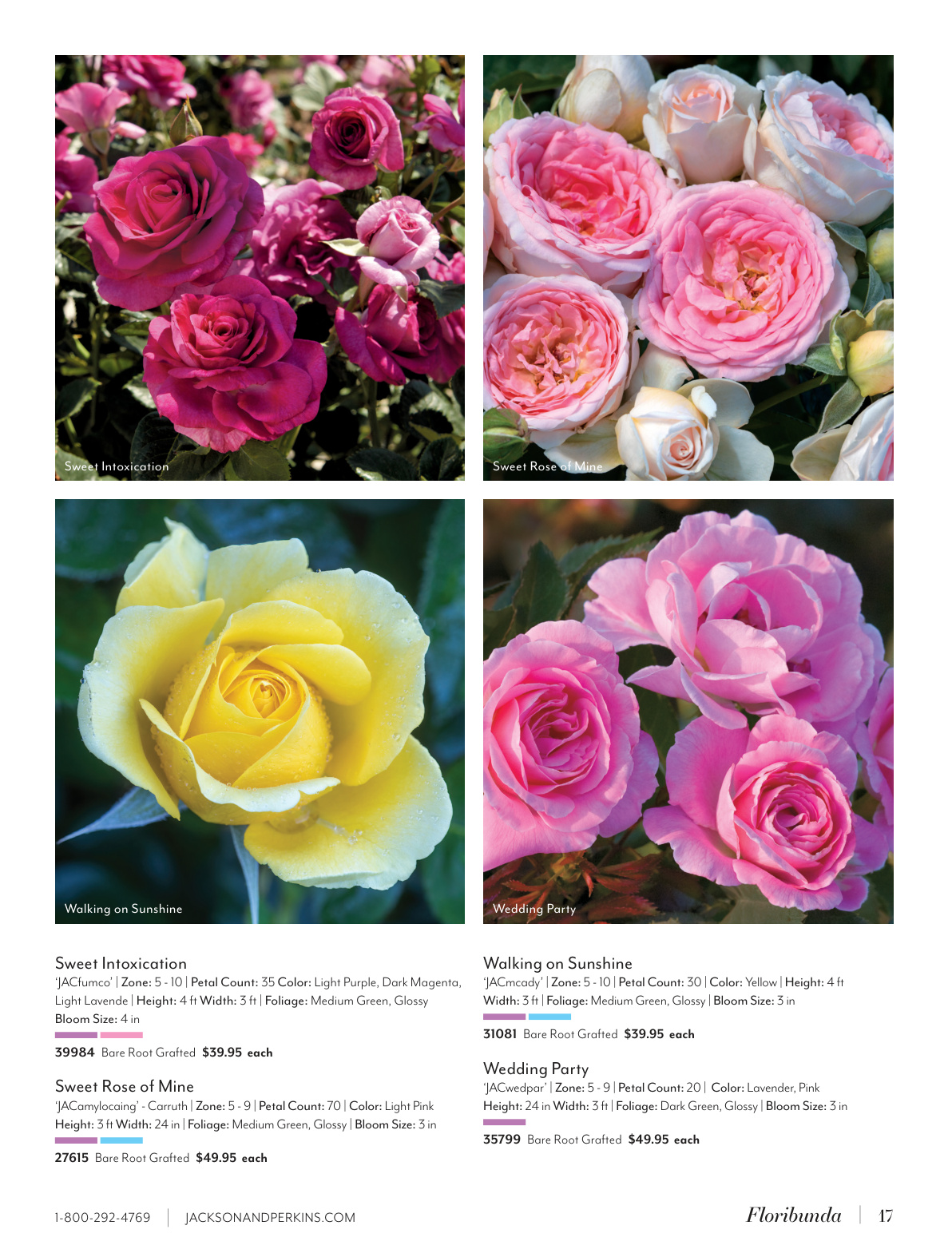 Flyer page 17