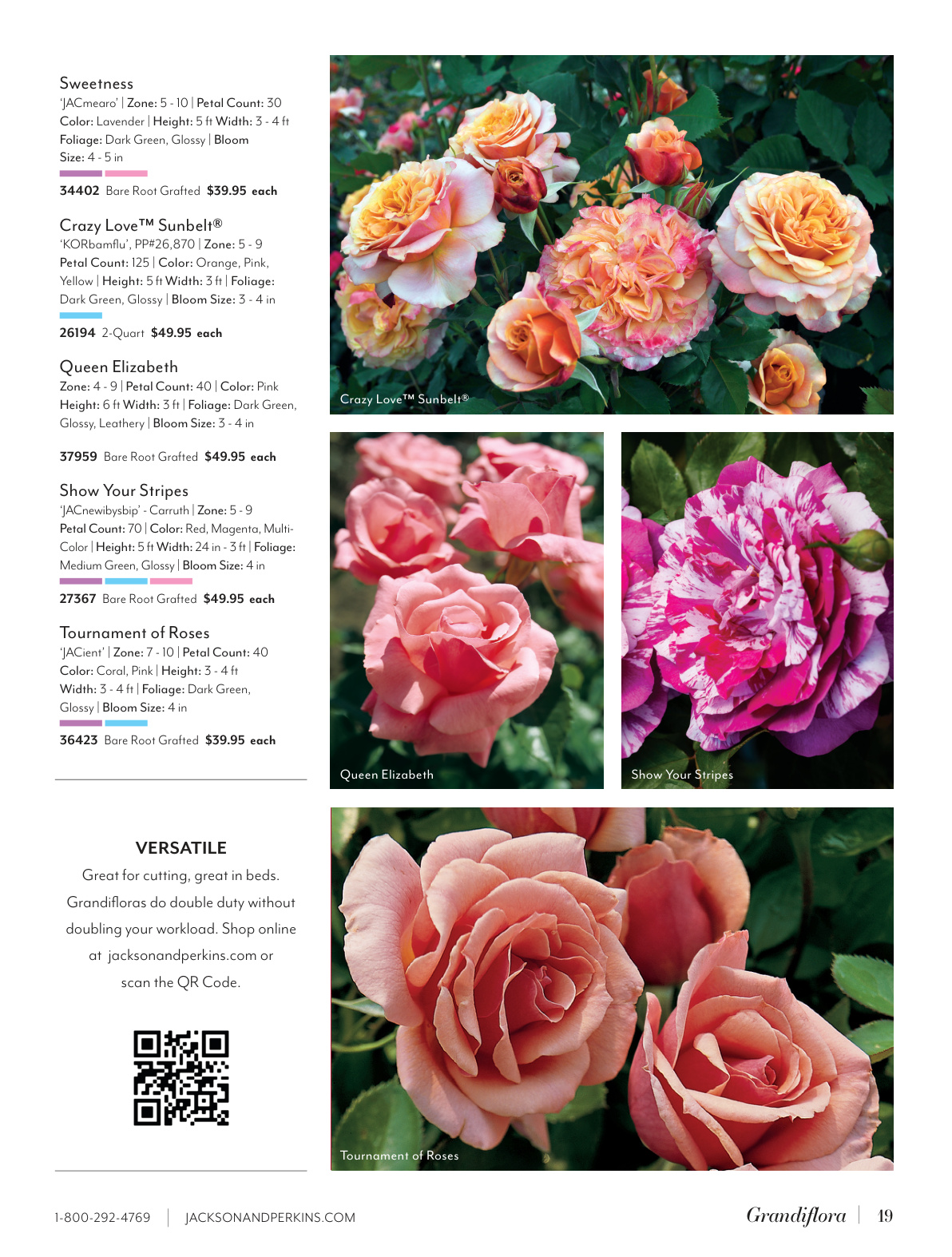 Flyer page 19