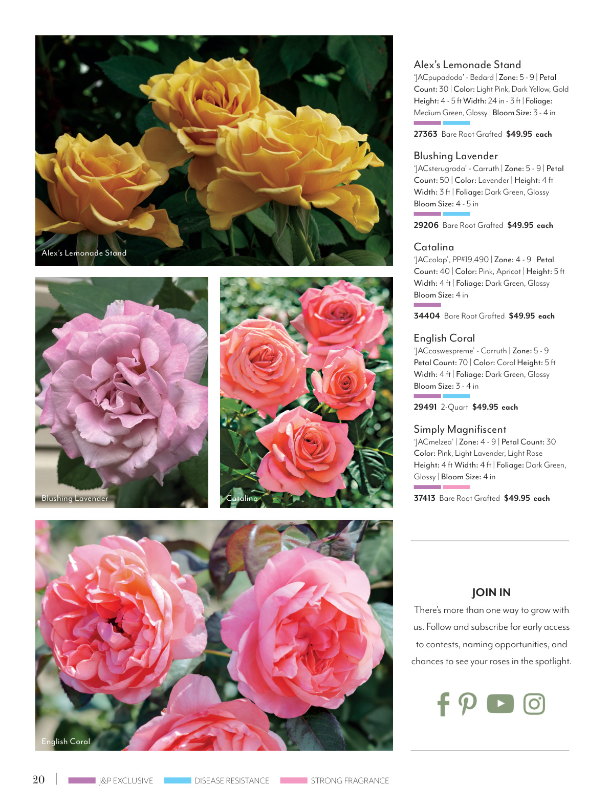 Flyer page 20