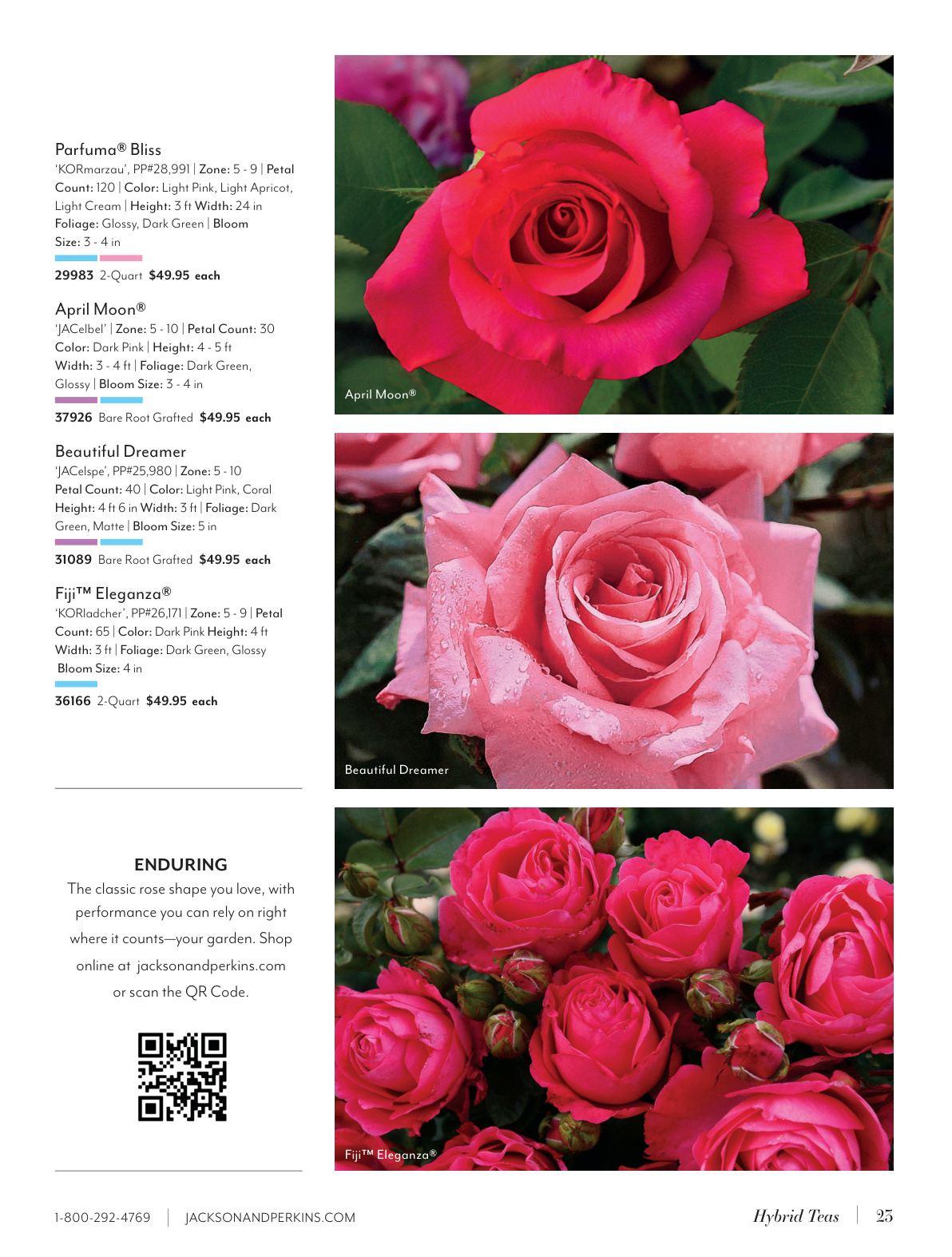 Flyer page 23