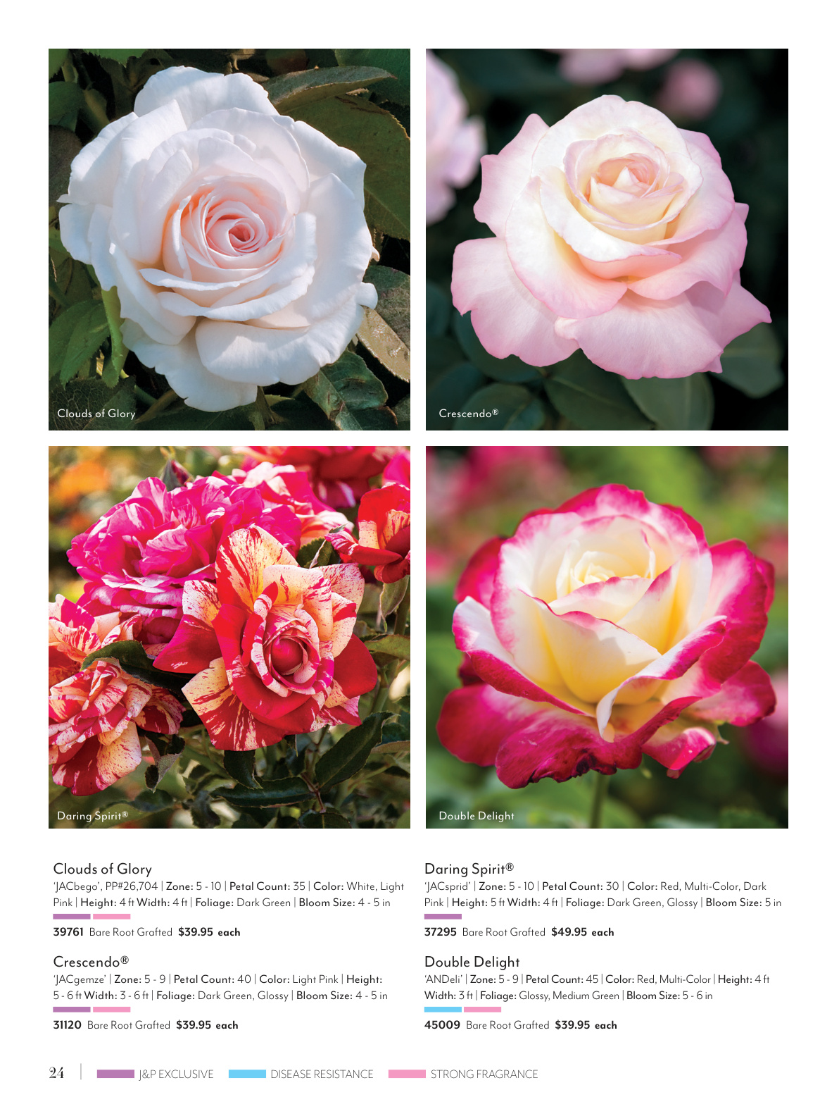 Flyer page 24