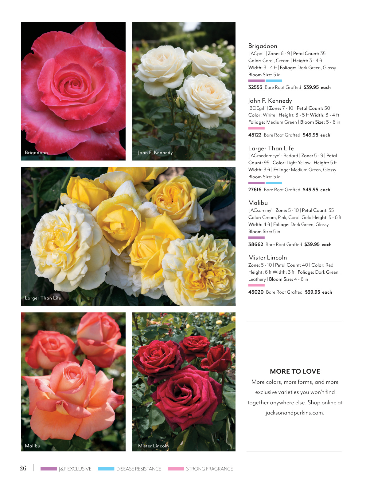 Flyer page 26