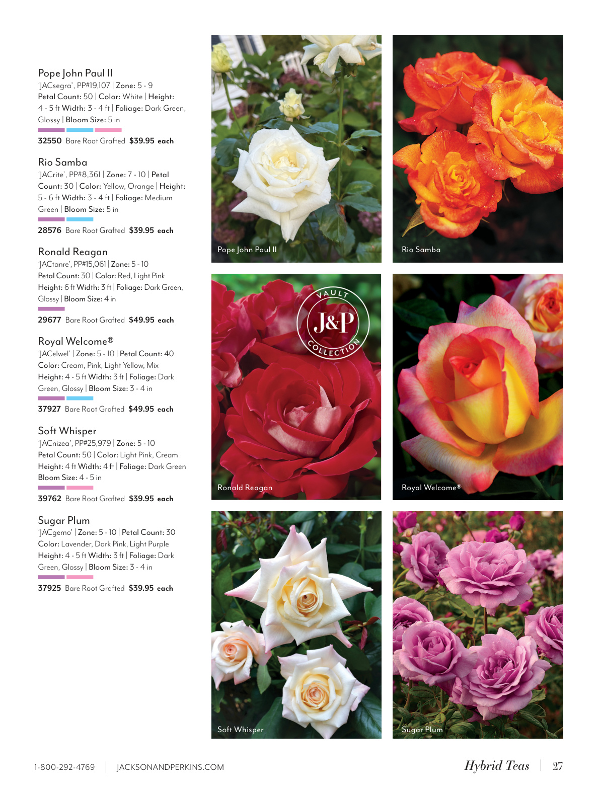 Flyer page 27