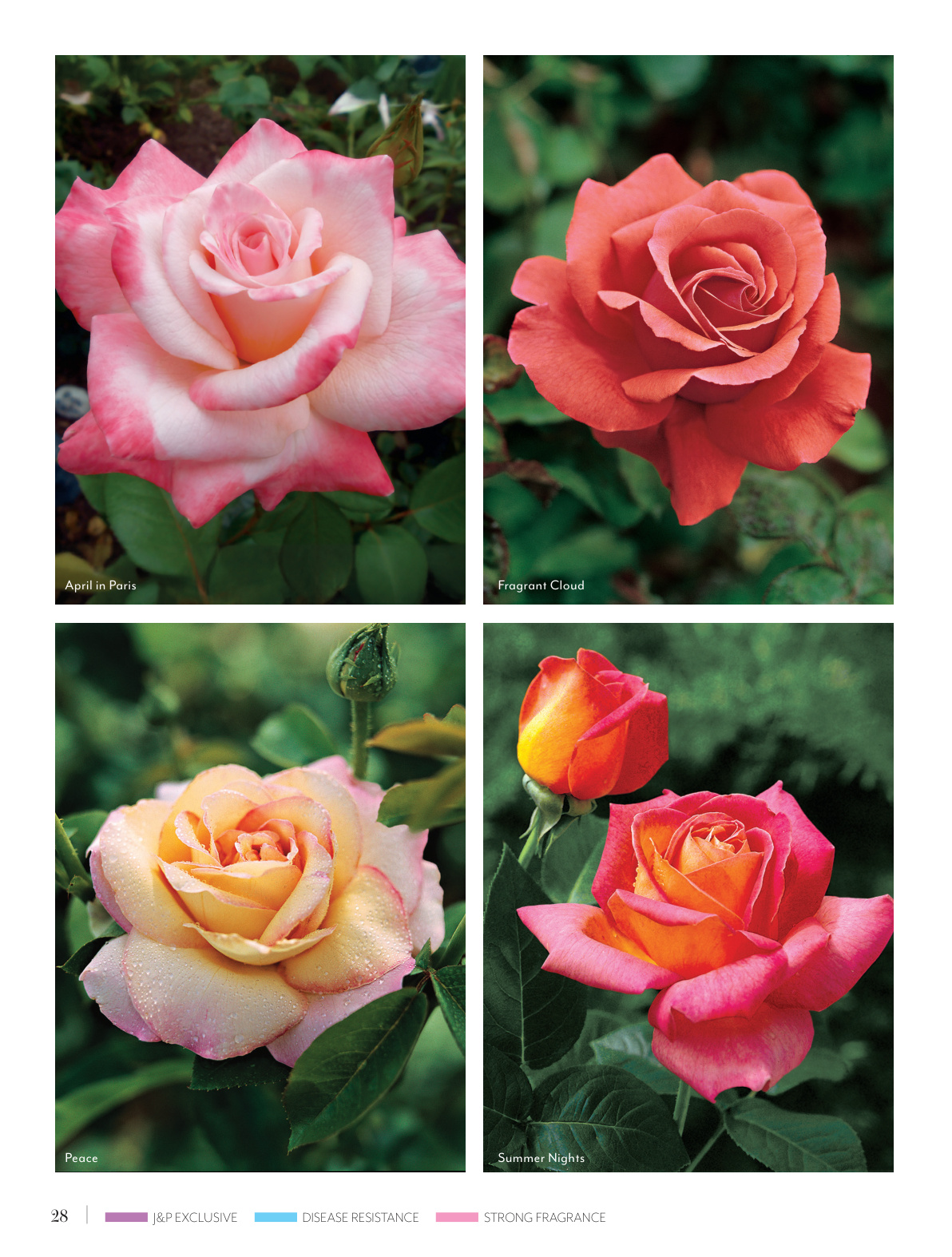 Flyer page 28