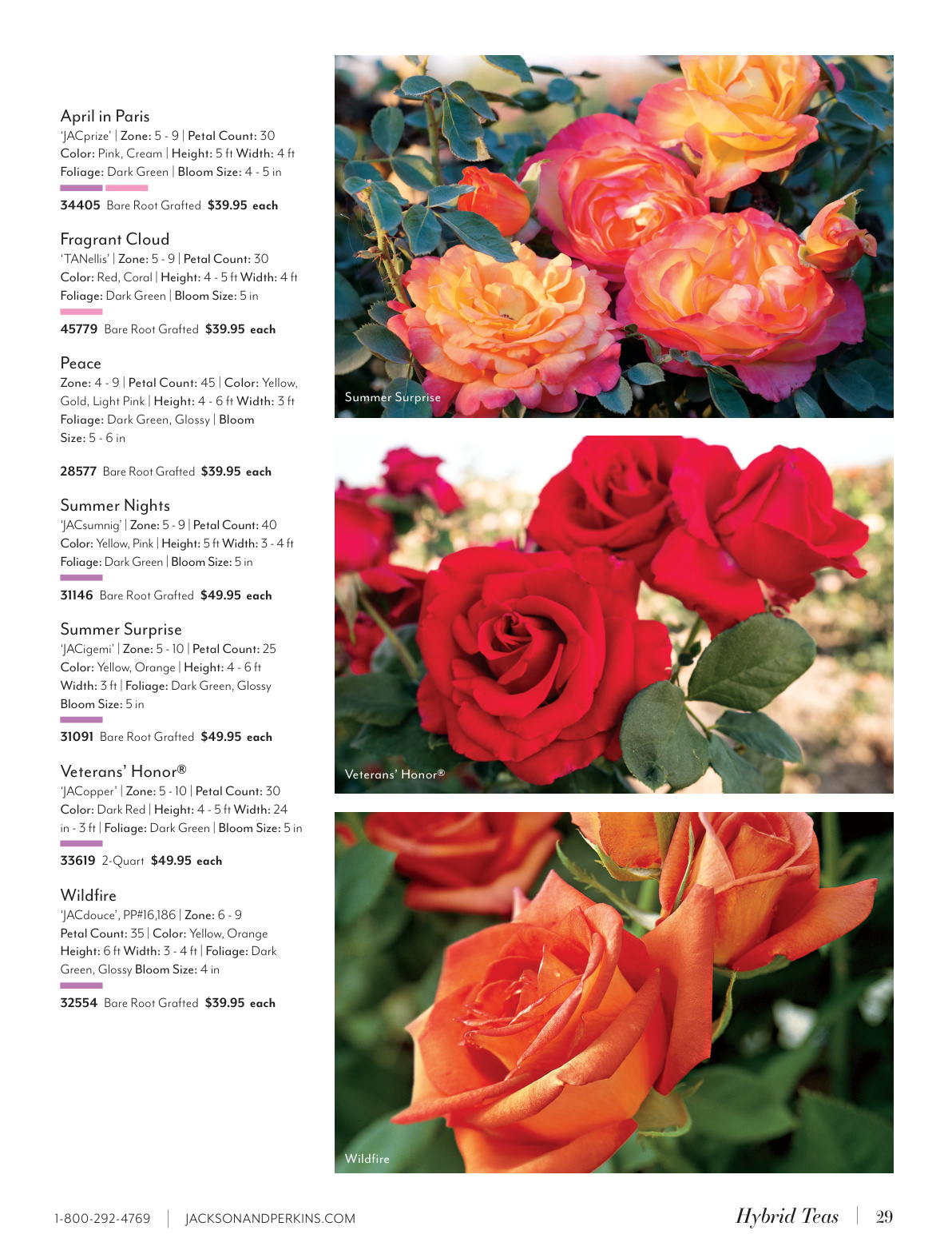 Flyer page 29