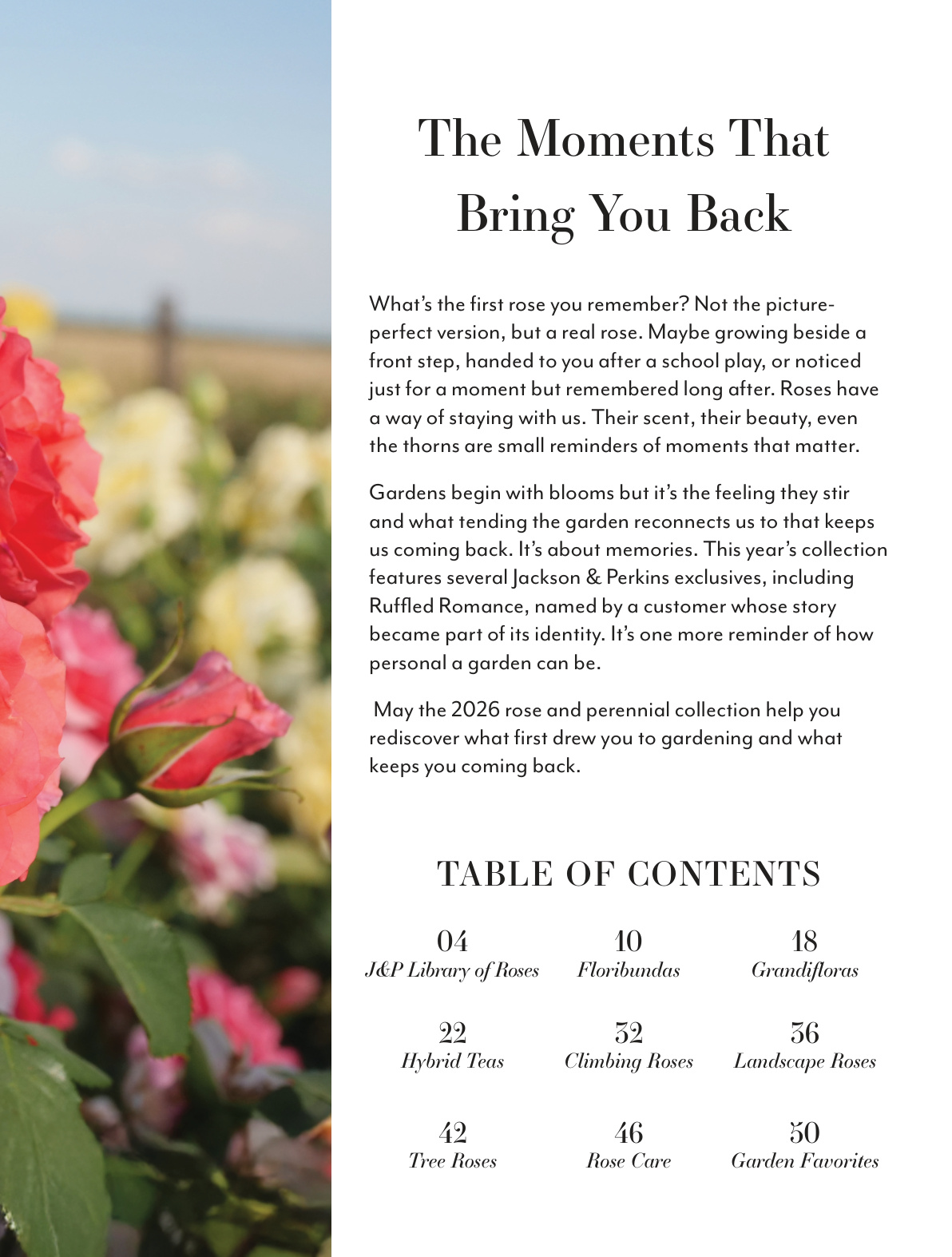 Flyer page 3