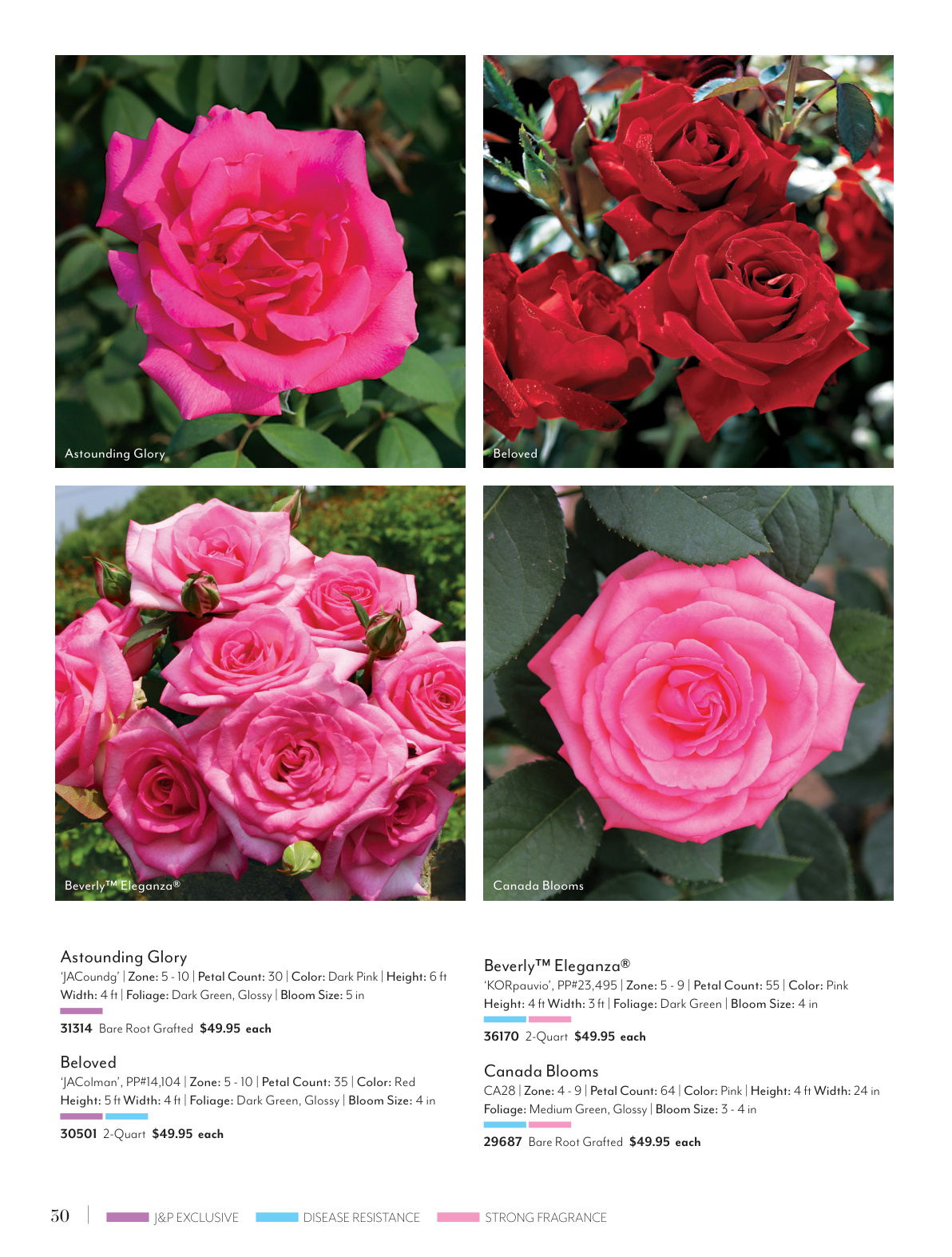 Flyer page 30