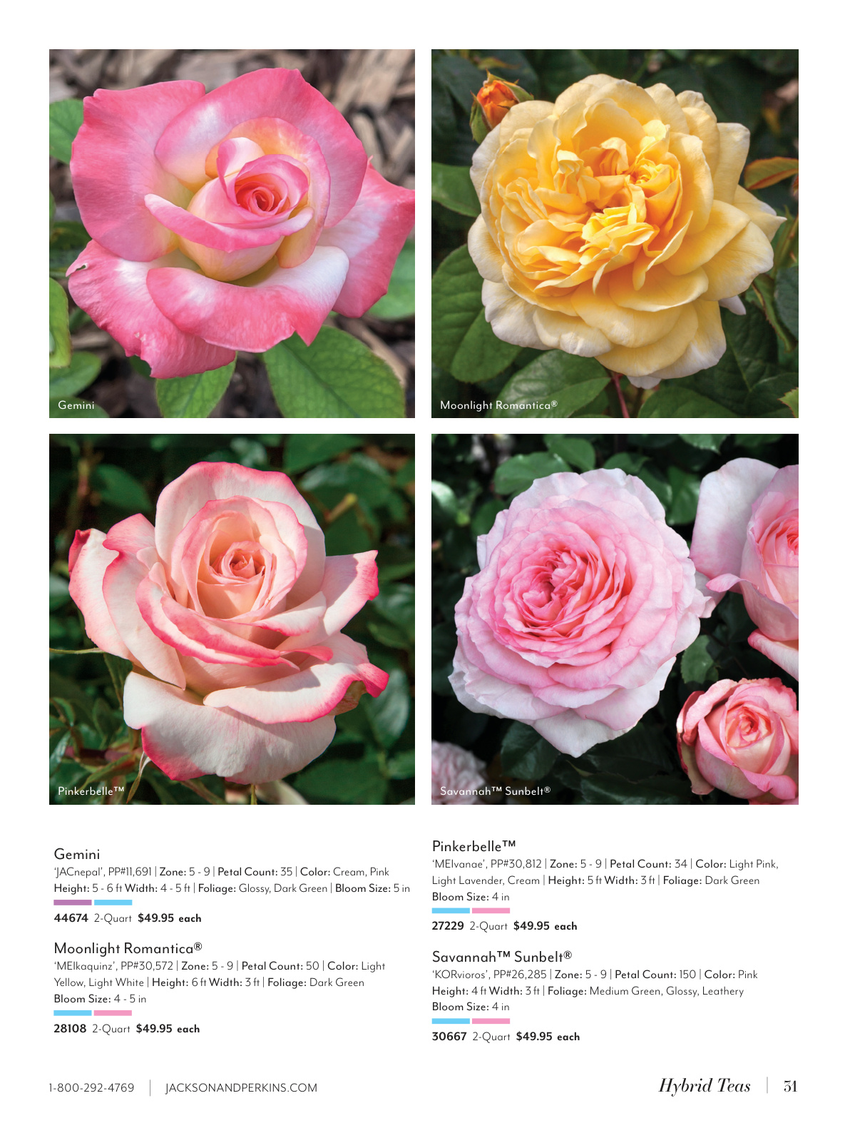 Flyer page 31