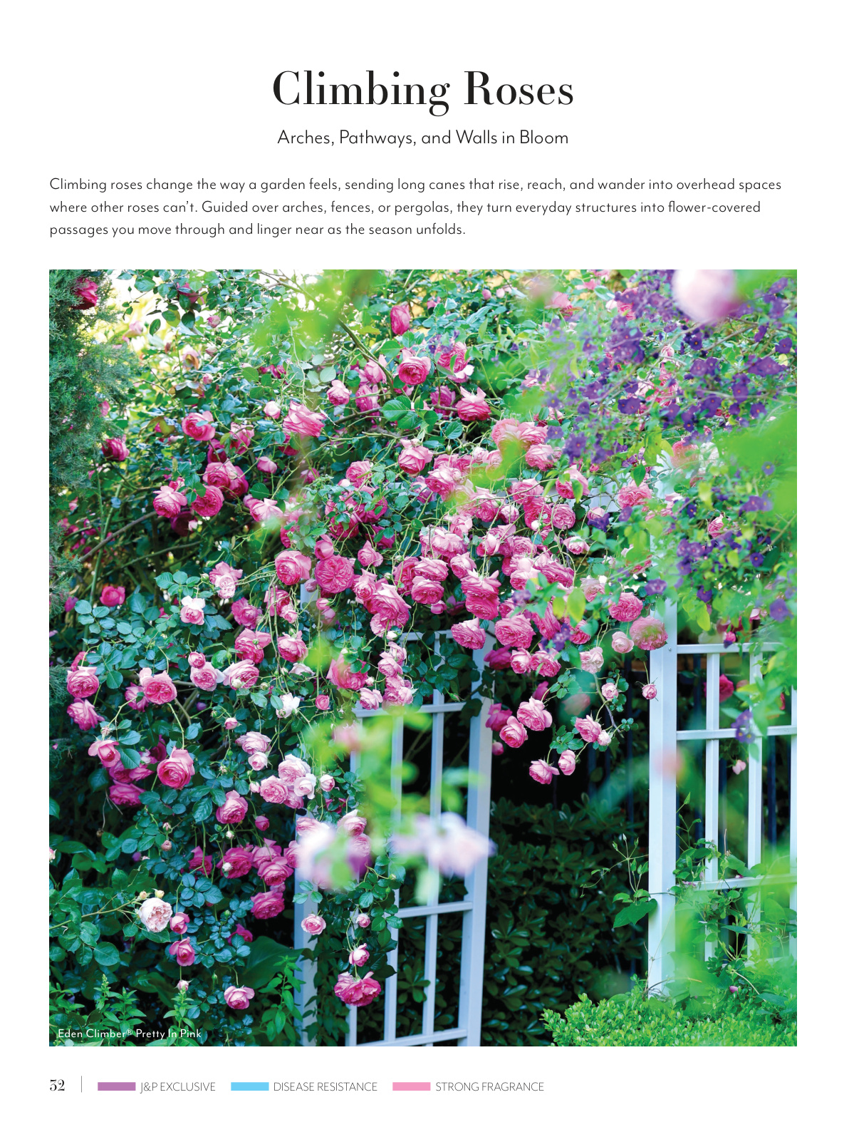 Flyer page 32