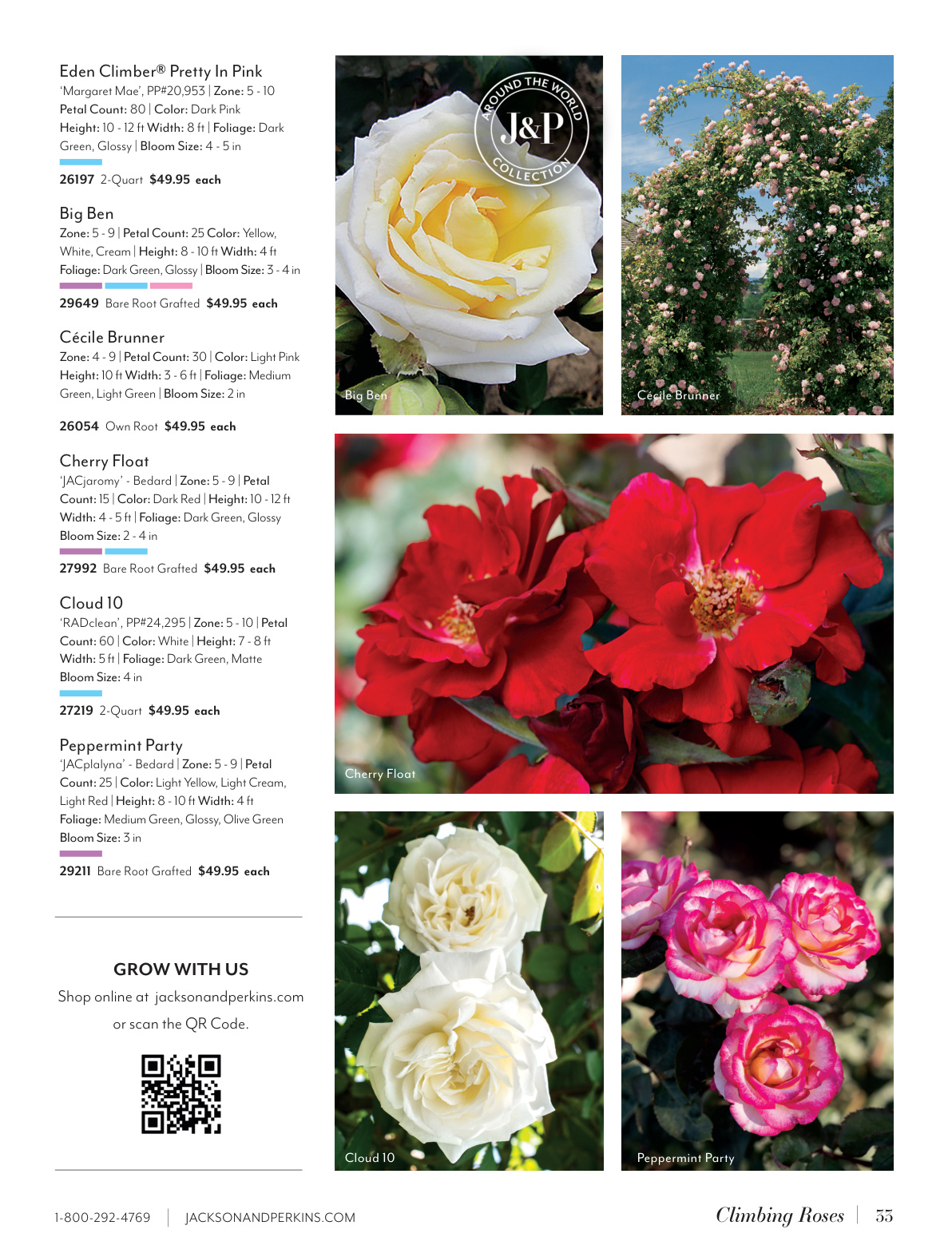 Flyer page 33