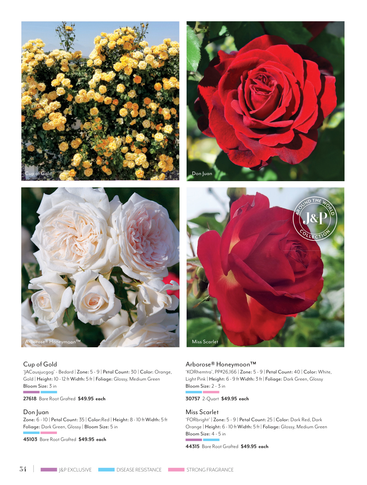 Flyer page 34