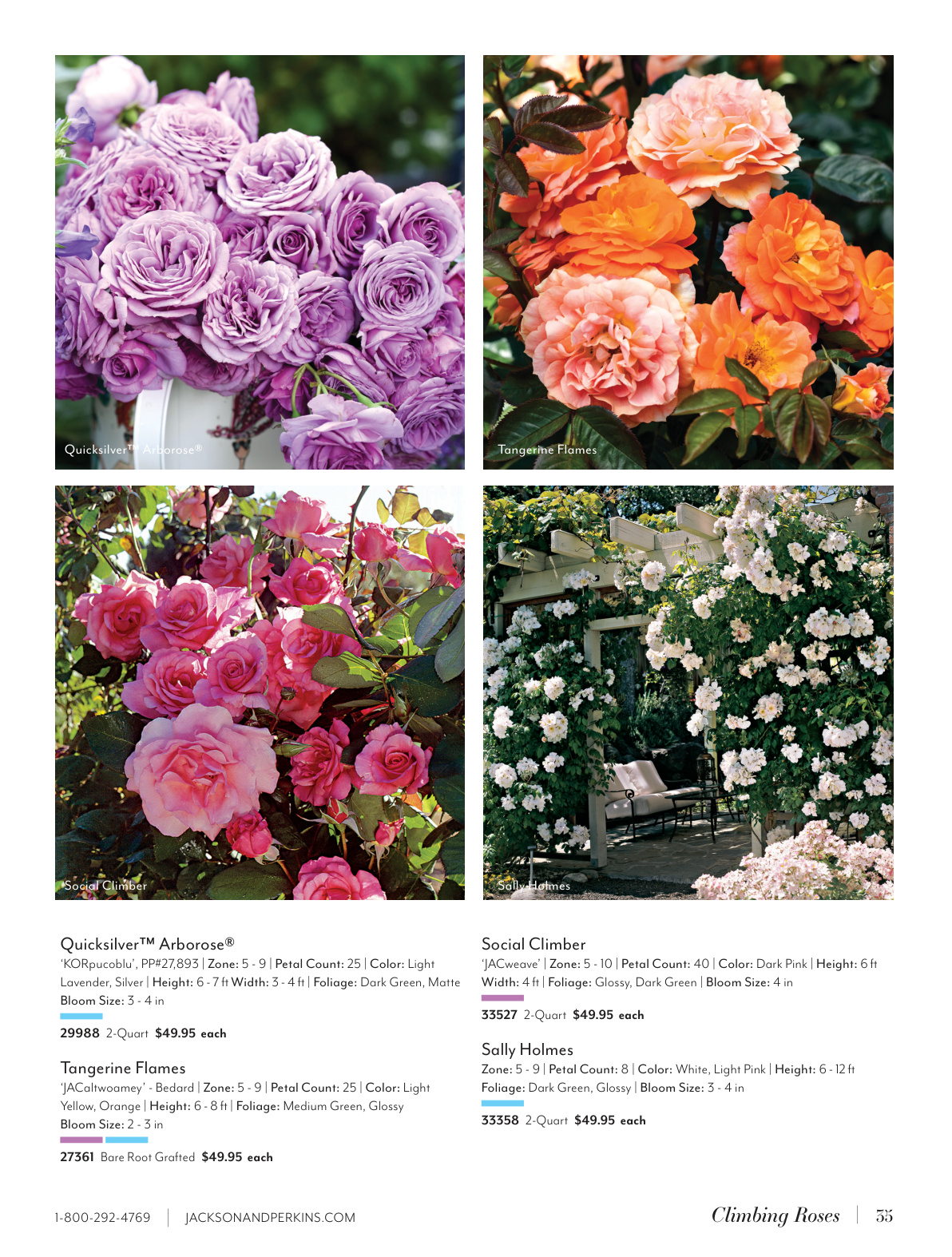 Flyer page 35