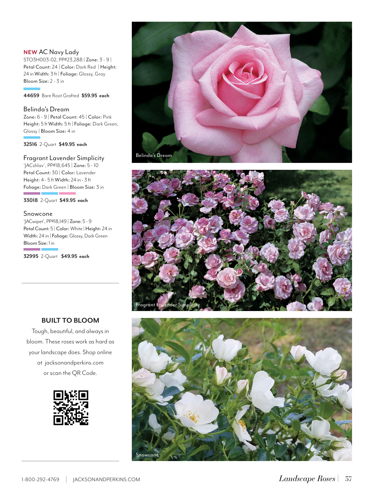 Flyer page 37