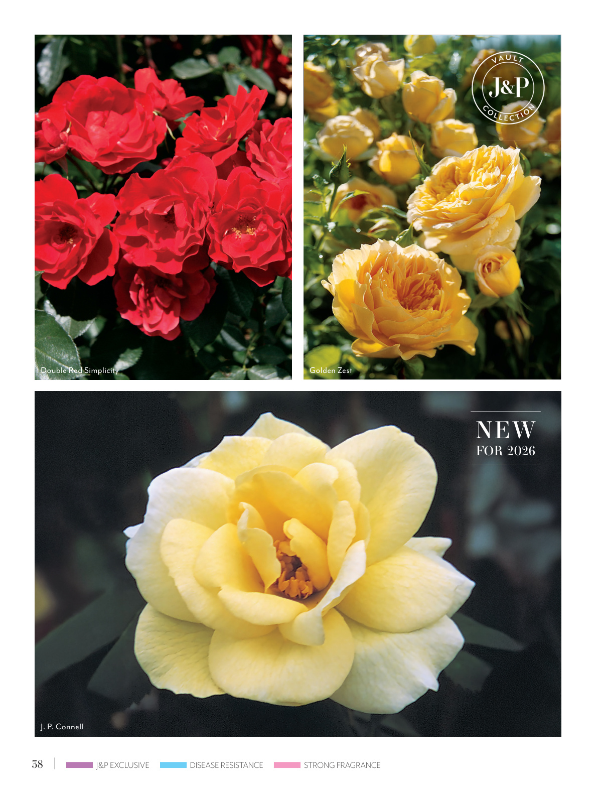 Flyer page 38