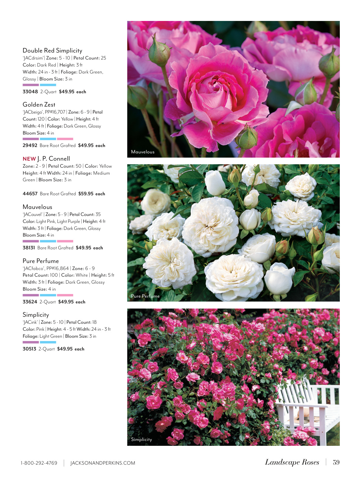 Flyer page 39