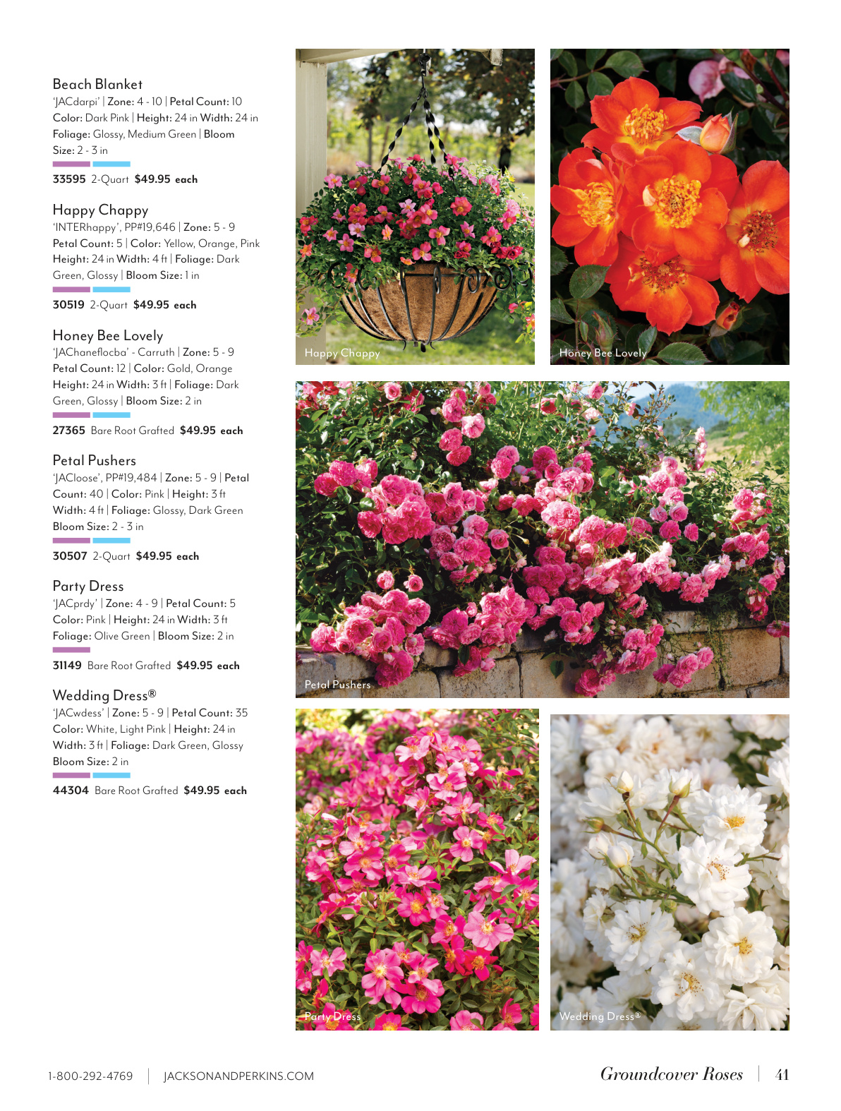 Flyer page 41