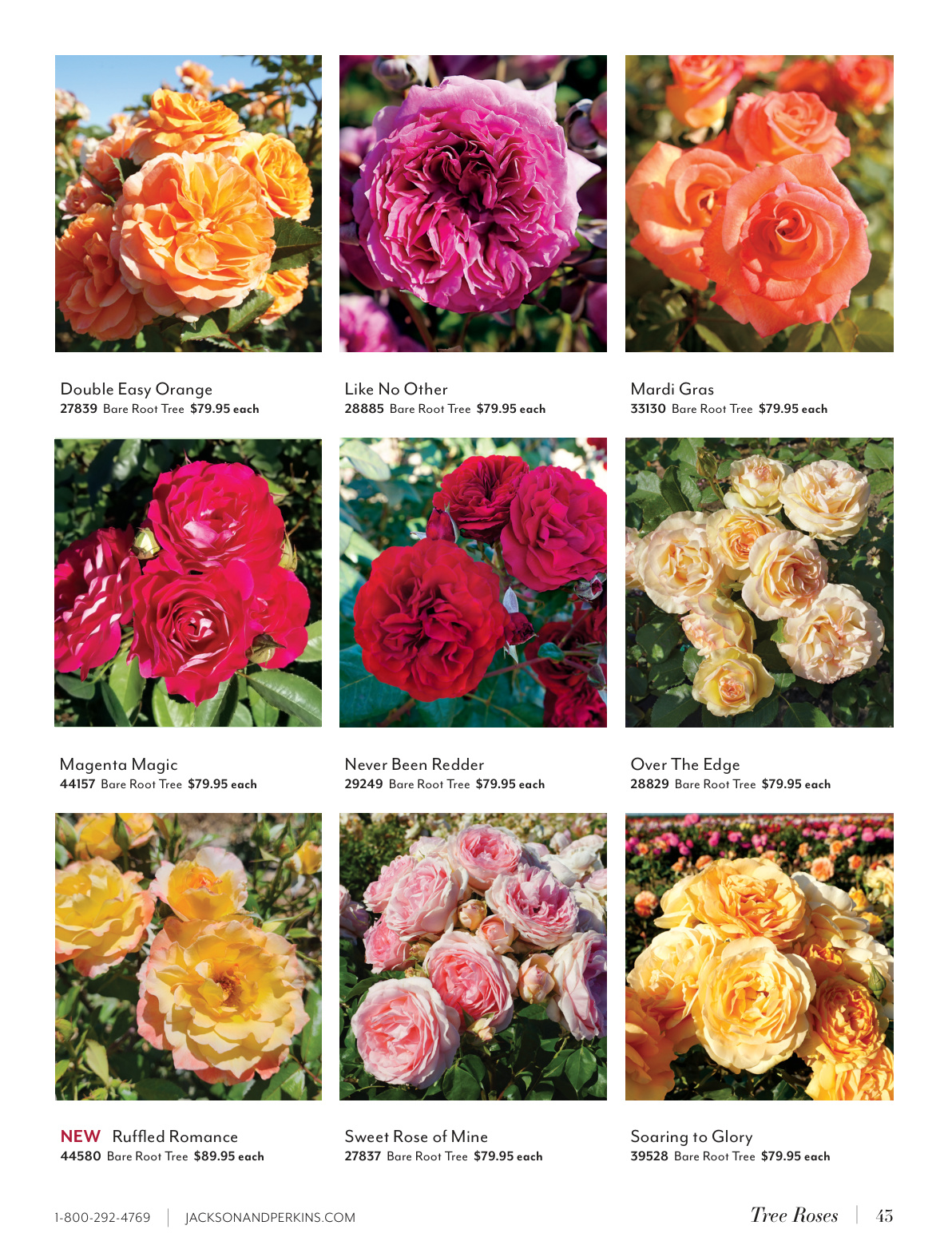 Flyer page 43