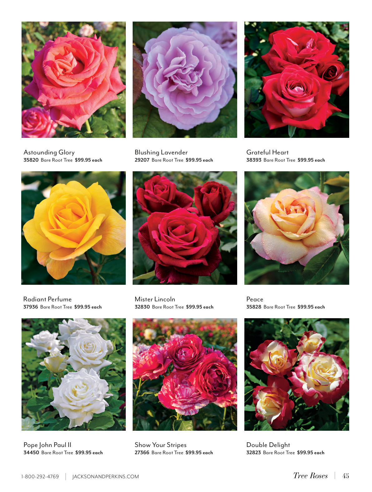 Flyer page 45