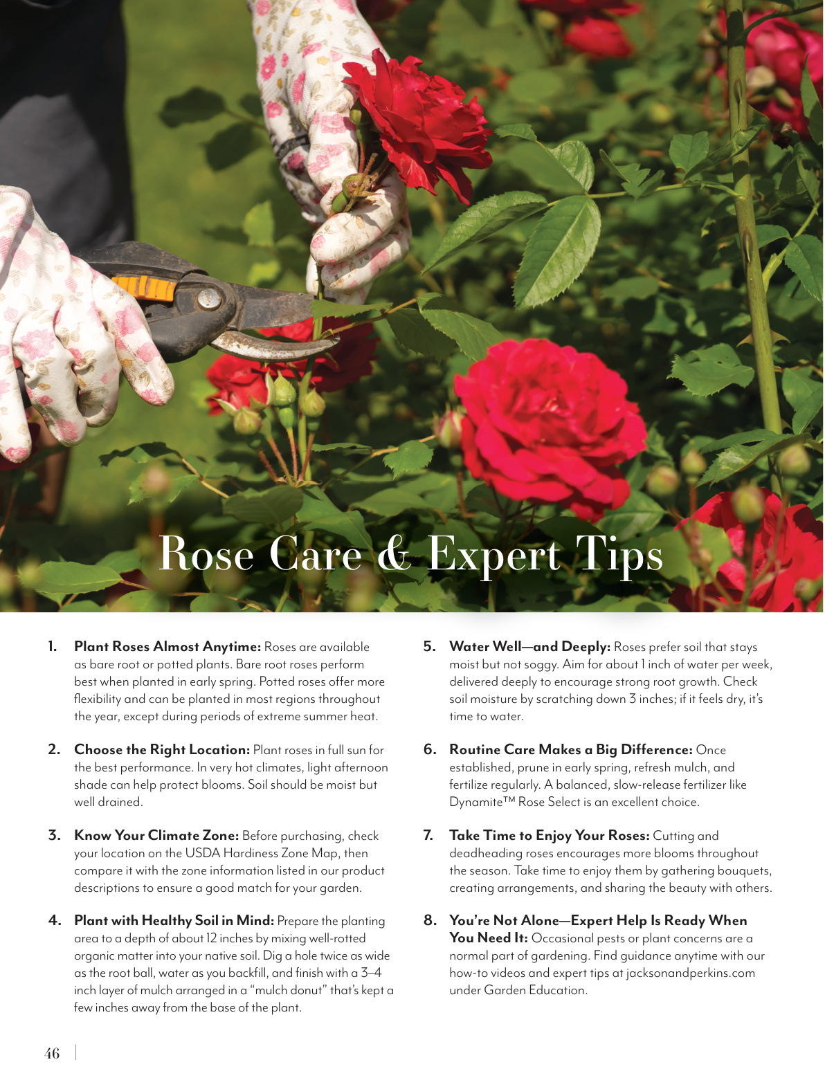 Flyer page 46