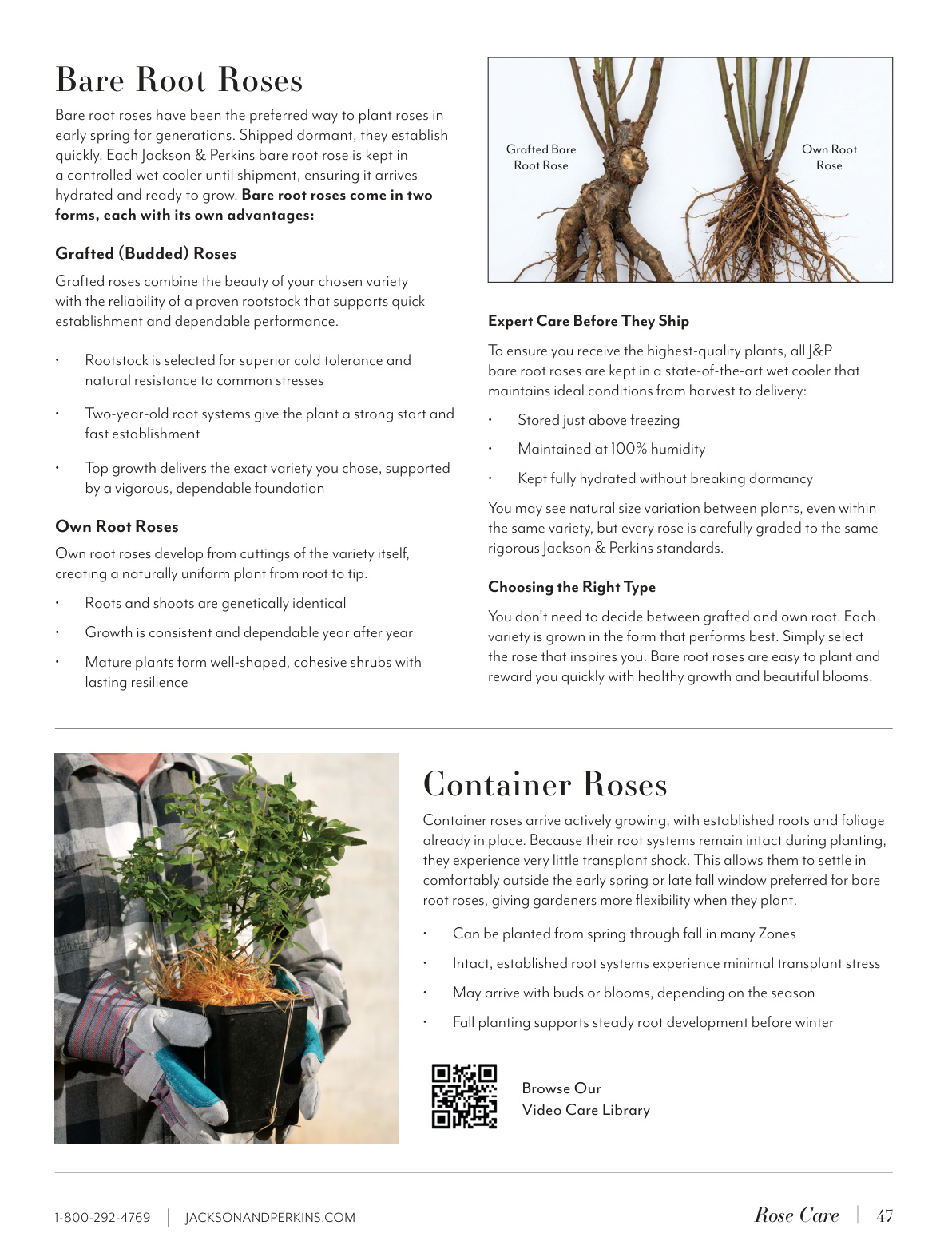 Flyer page 47