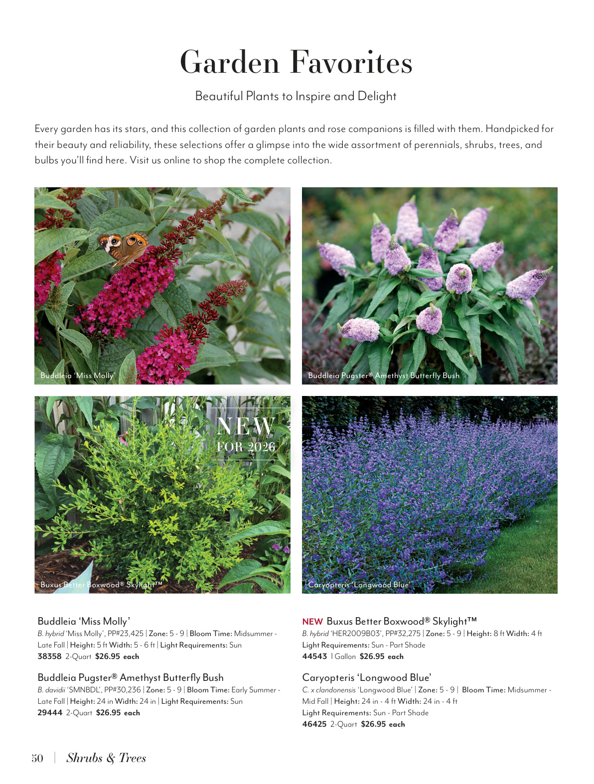 Flyer page 50