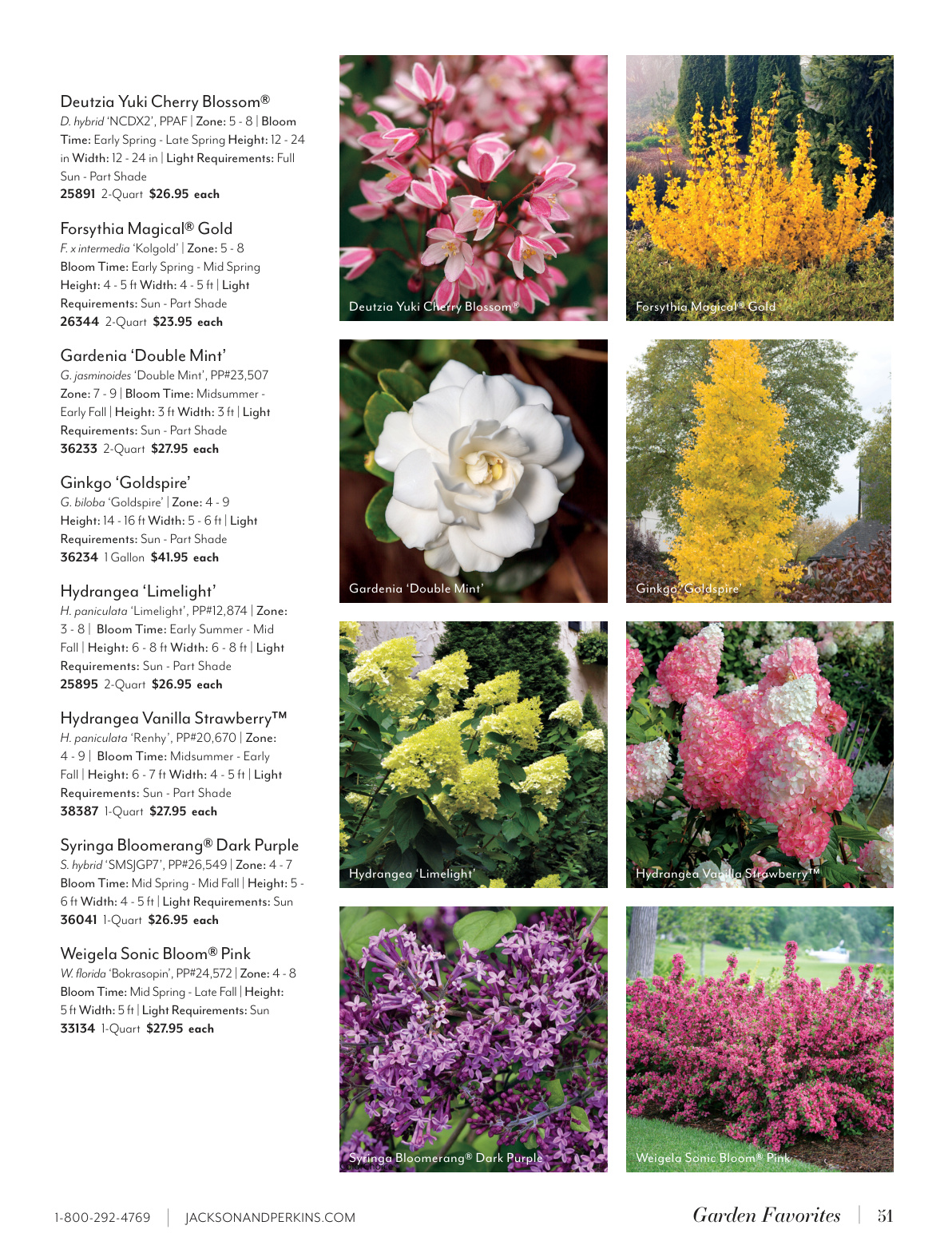 Flyer page 51
