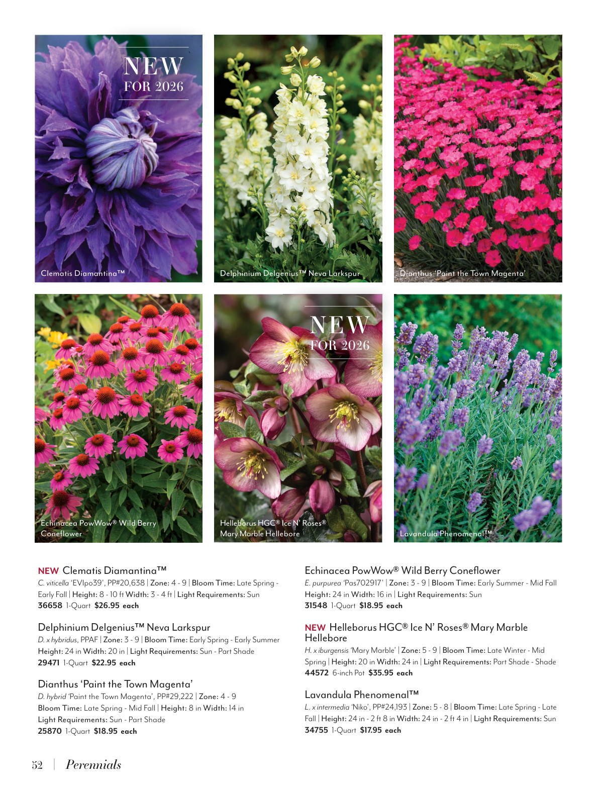 Flyer page 52