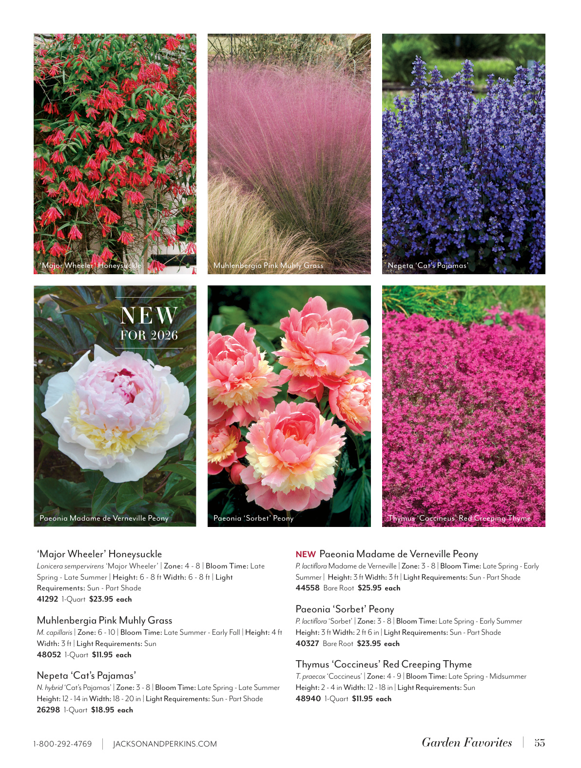 Flyer page 53