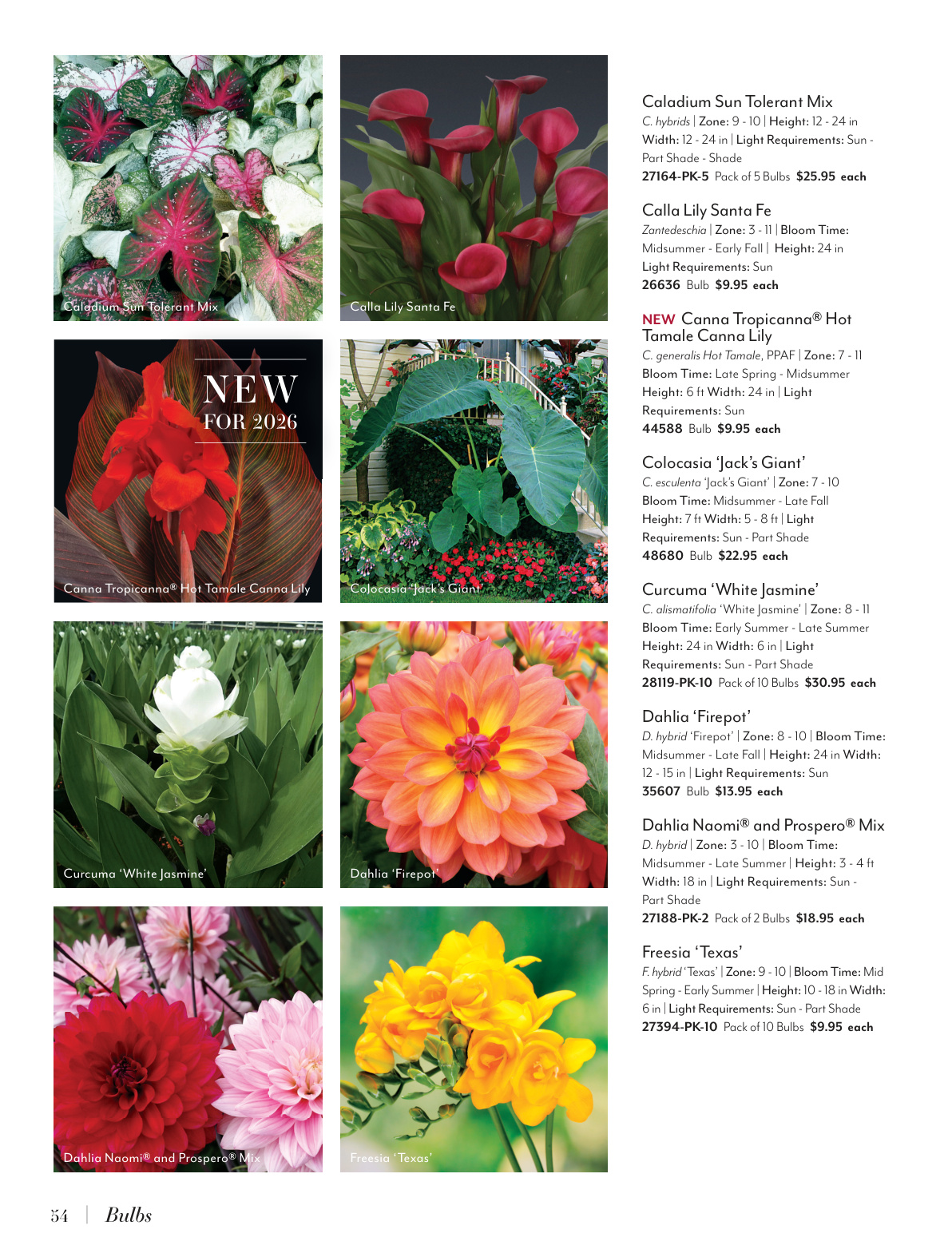 Flyer page 54