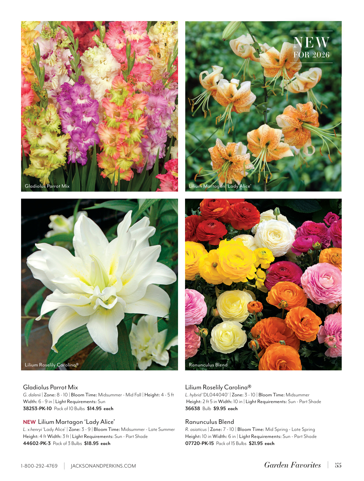 Flyer page 55