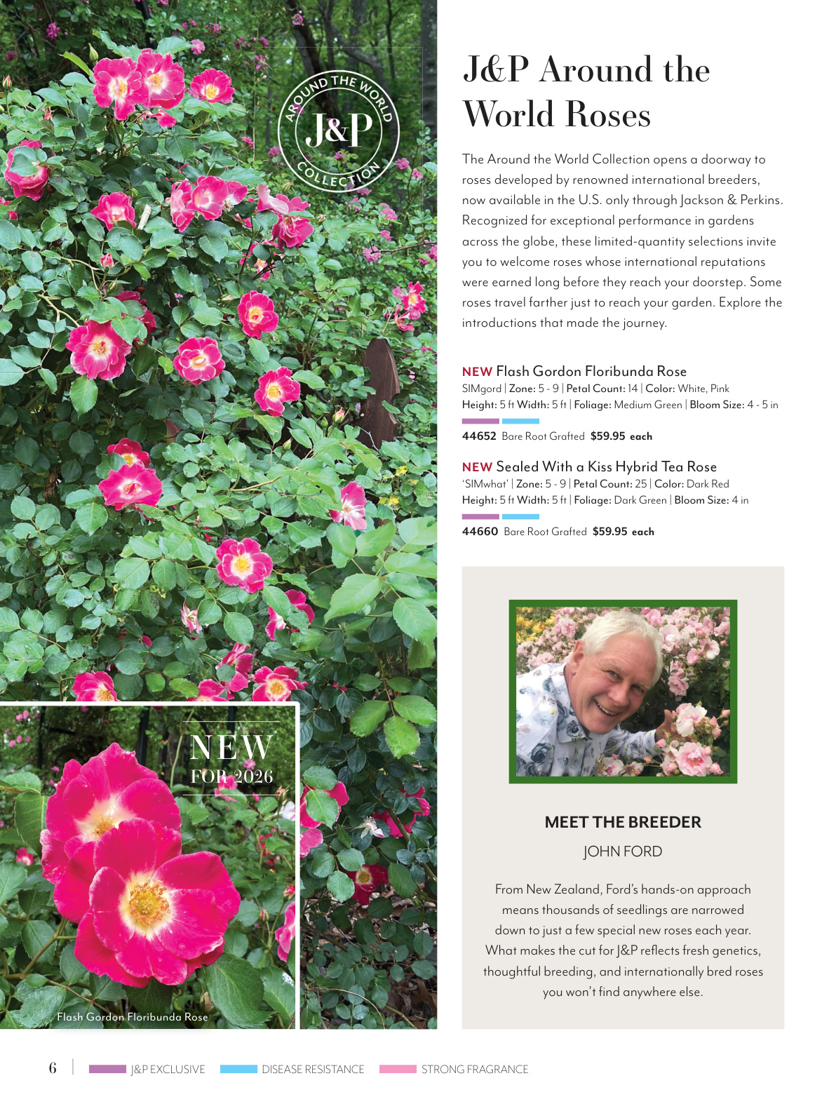 Flyer page 6