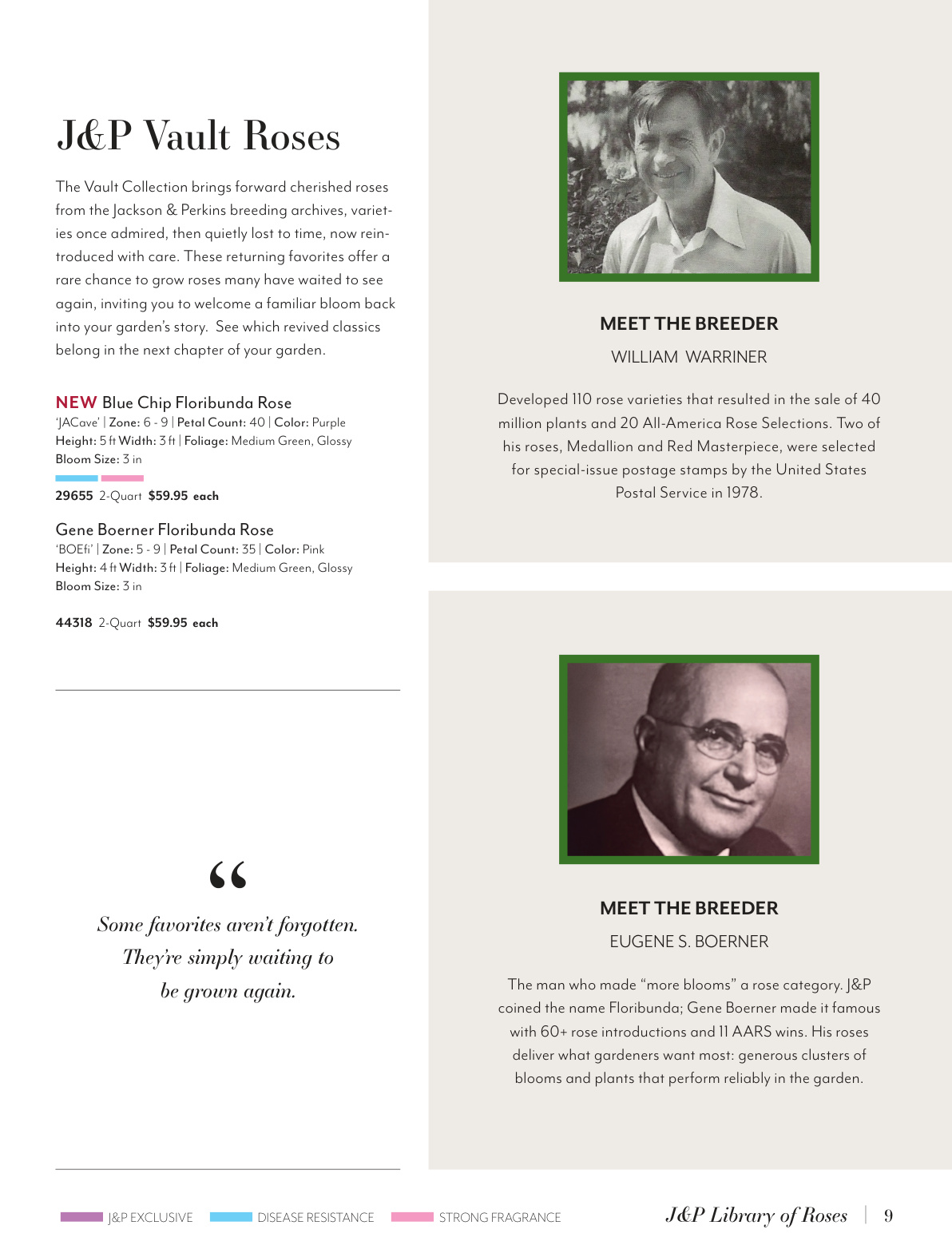 Flyer page 9