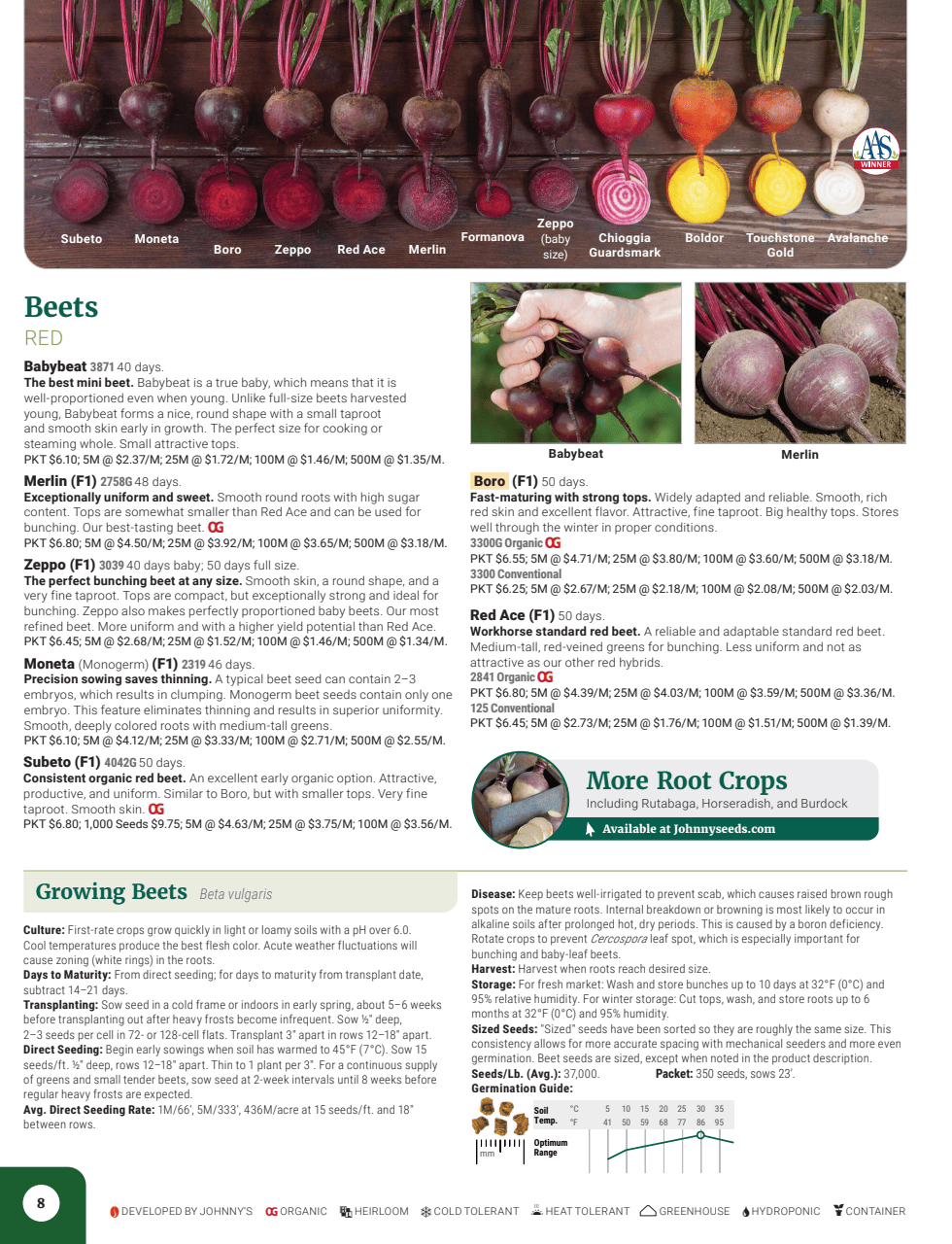 Flyer page 10
