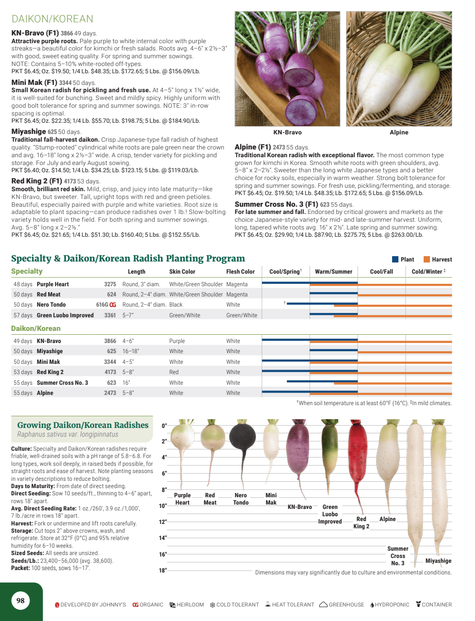 Flyer page 100
