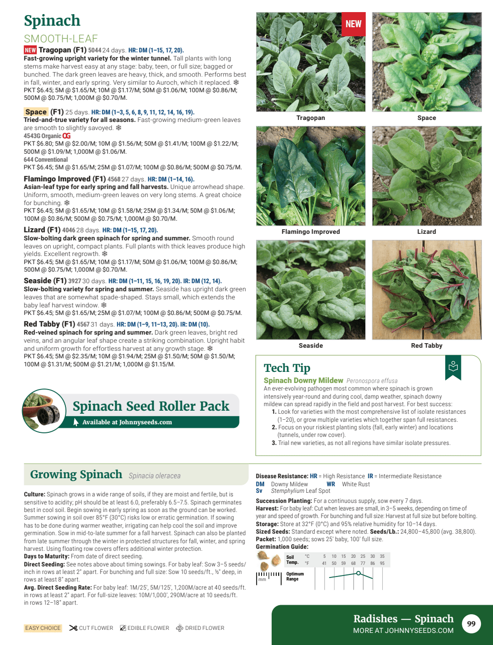 Flyer page 101