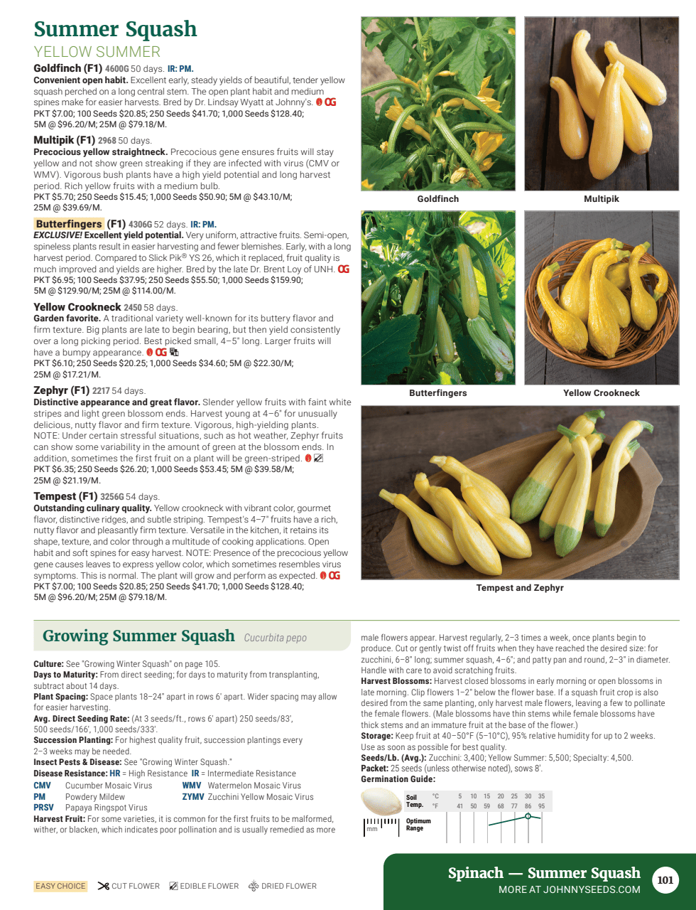 Flyer page 103