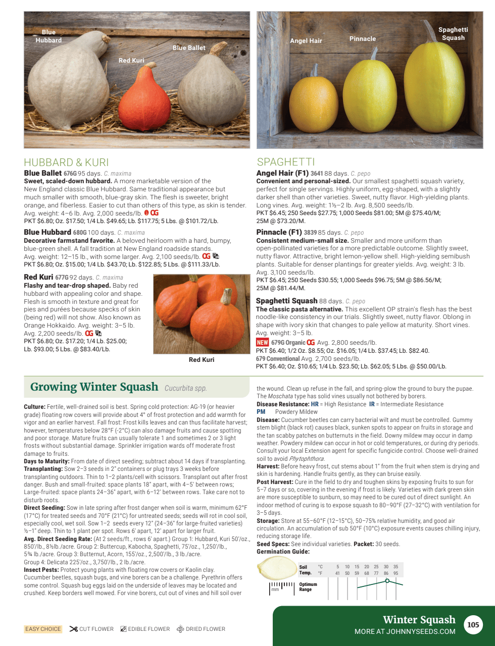 Flyer page 107
