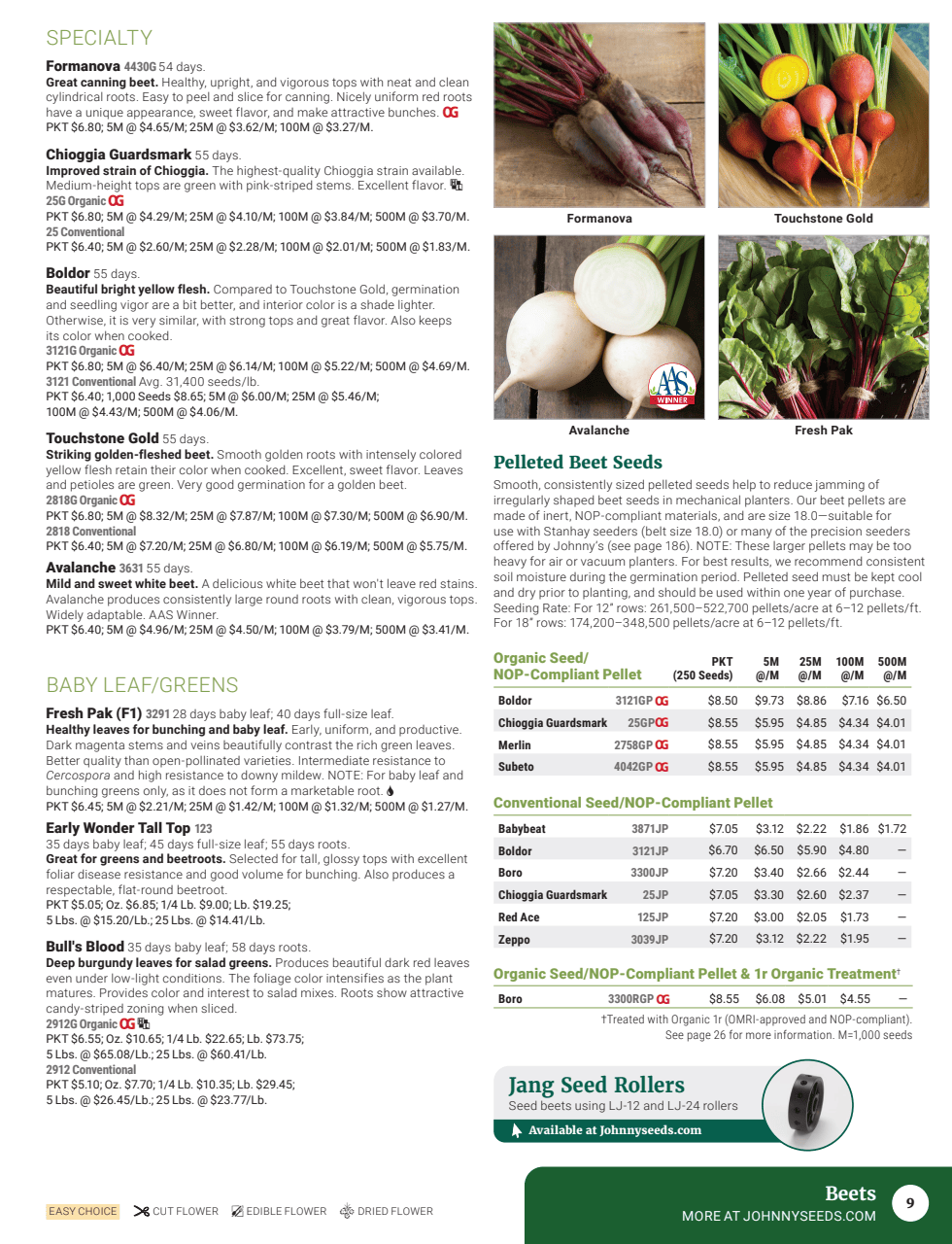 Flyer page 11