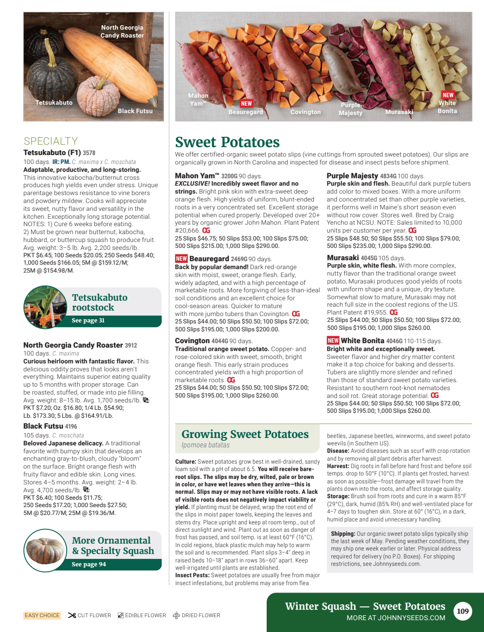 Flyer page 111