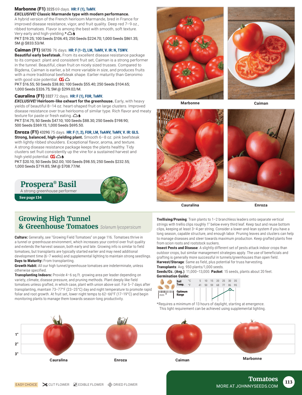 Flyer page 115