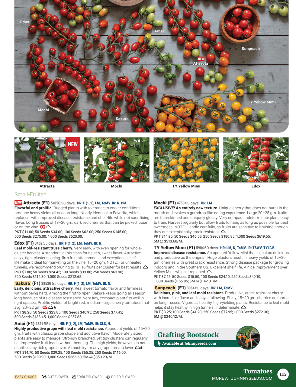 Flyer page 117