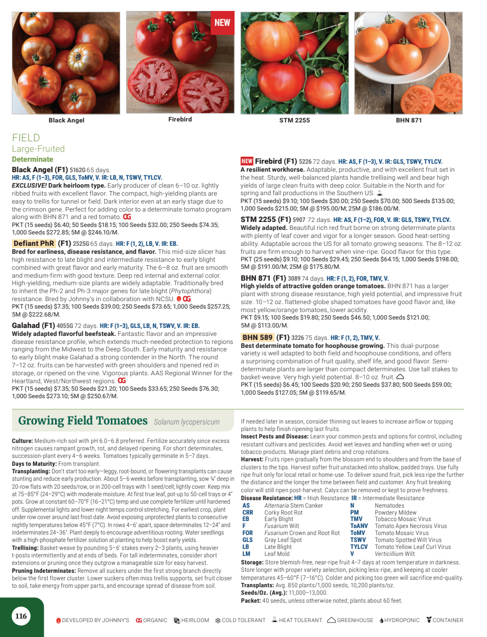 Flyer page 118