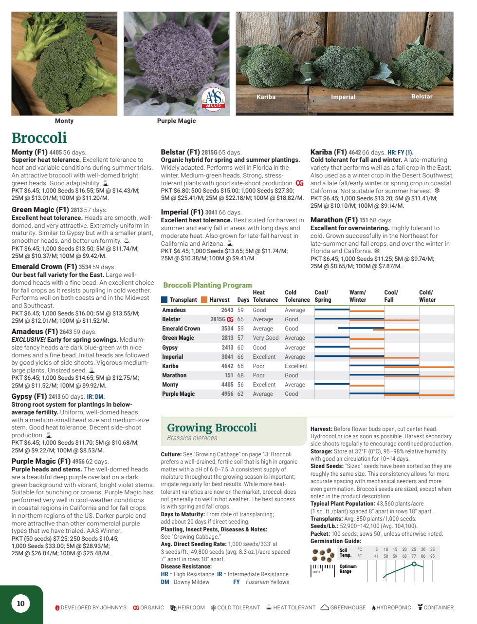 Flyer page 12